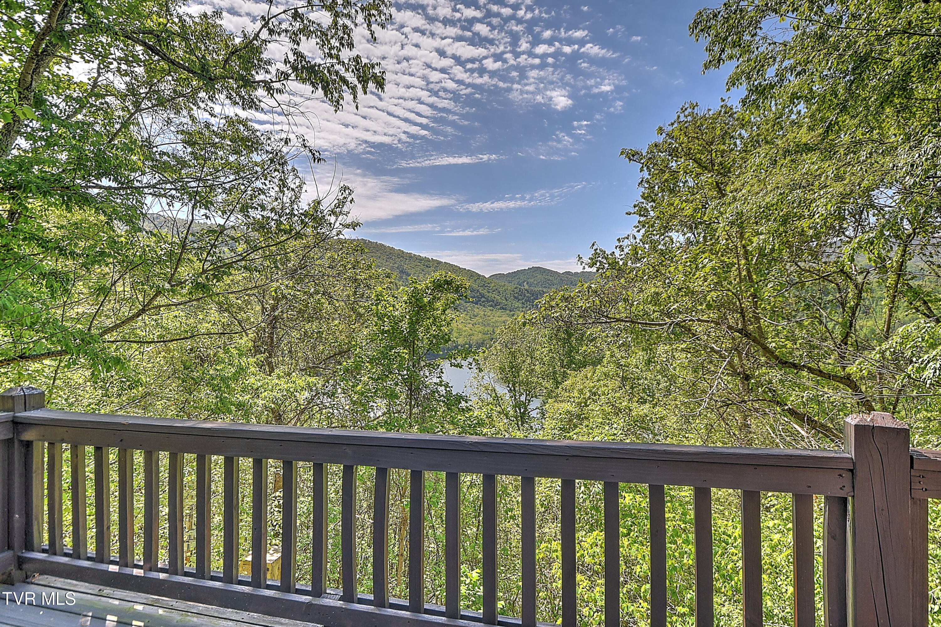 375 Lake Cabin Lane Butler, TN 37640 - Photo 6 of 81 375 Cabin Lake DST-6