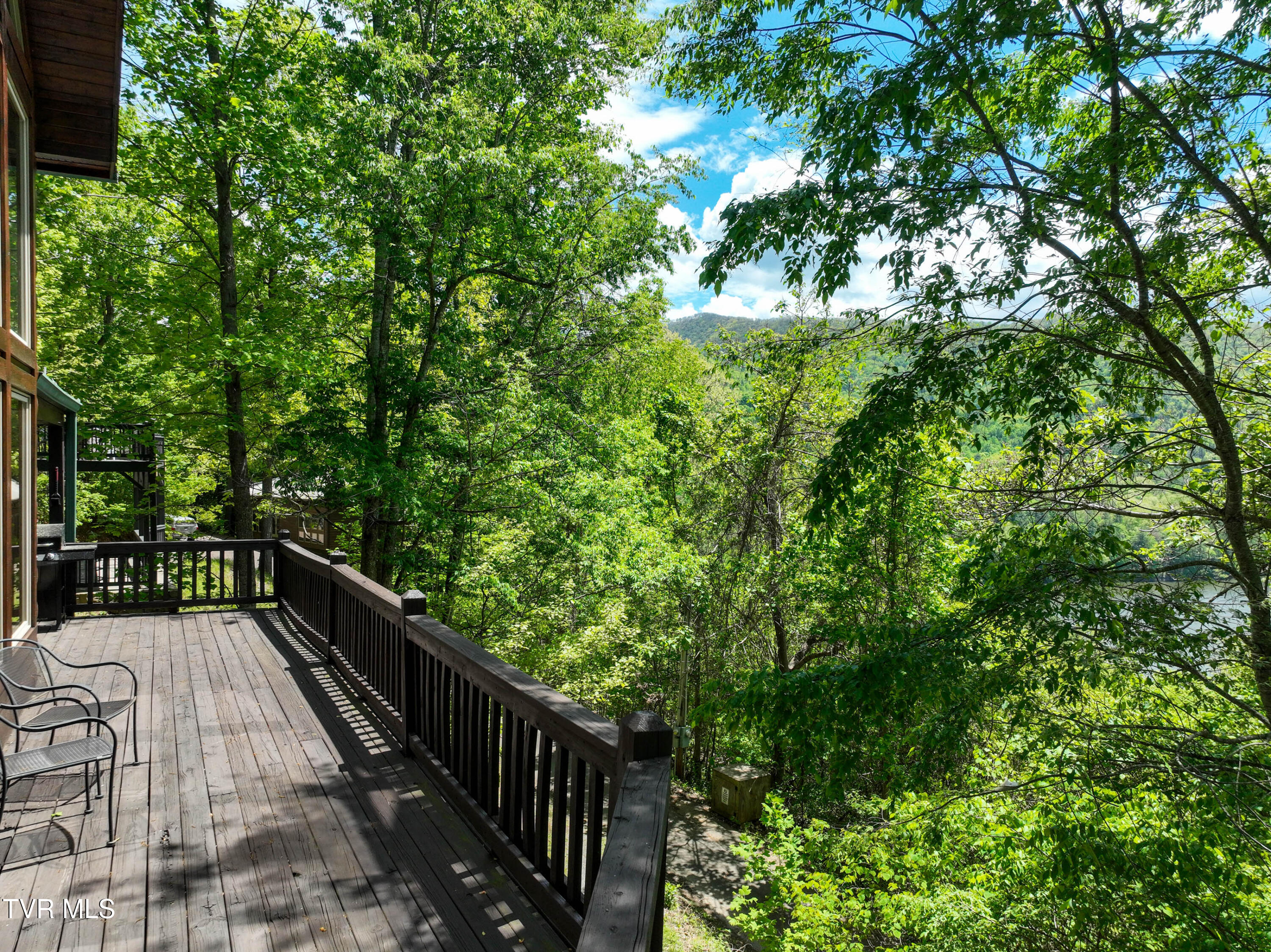 375 Lake Cabin Lane Butler, TN 37640 - Photo 78 of 81 375 Lake Cabin Rd Drone TAYLOR-19