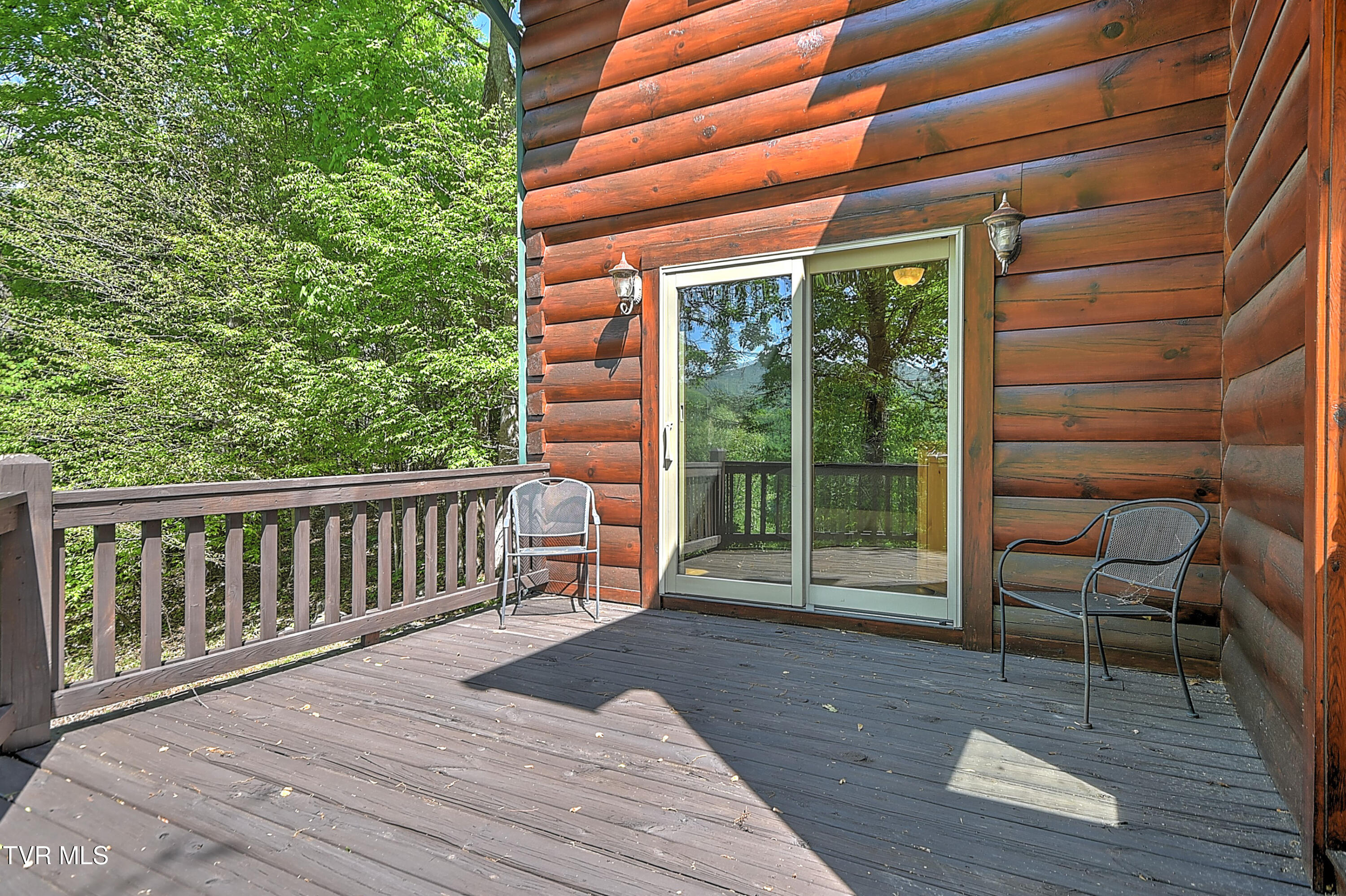 375 Lake Cabin Lane Butler, TN 37640 - Photo 10 of 81 375 Cabin Lake DST-10