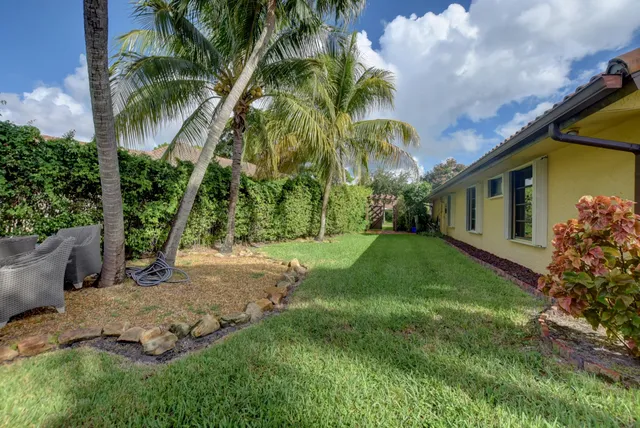 a backyard of a house with plants and palm trees