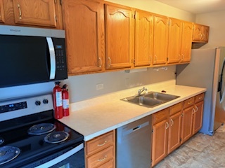 90 6th Avenue, Unit 209 La Grange, IL 60525 - Photo 6 of 20