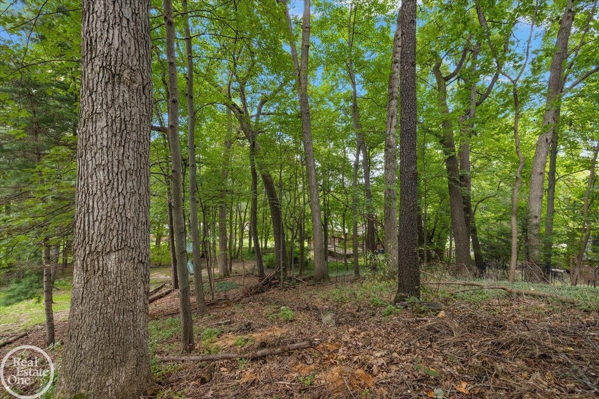 523 Ridgewood Road Rochester, MI 48306 - Photo 7 of 61 Gallery Image 7