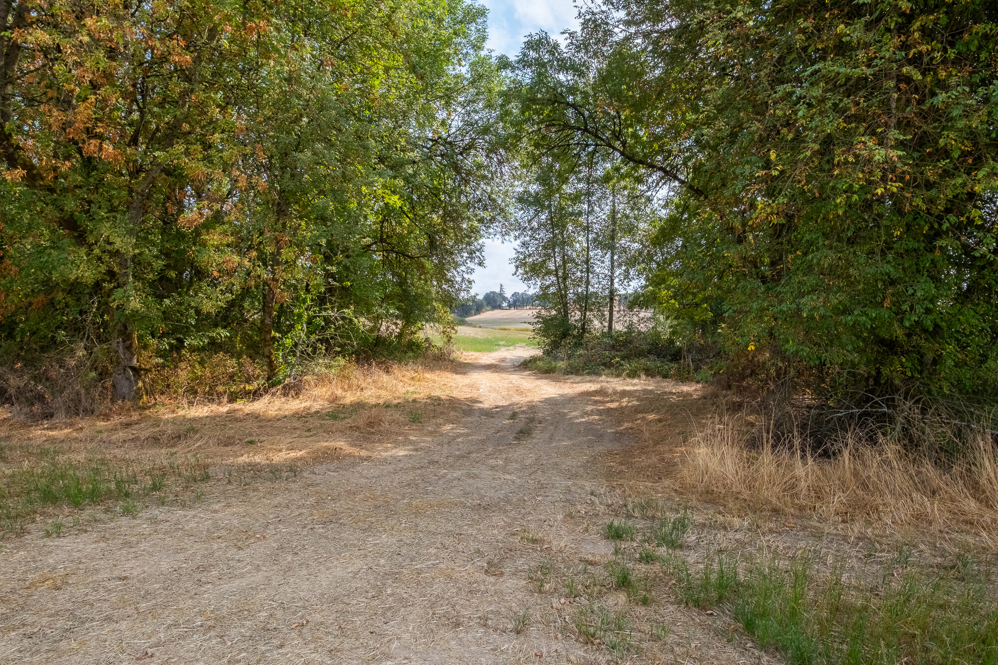 0 Oak Grove Albany, OR 97321 - Photo 10 of 35