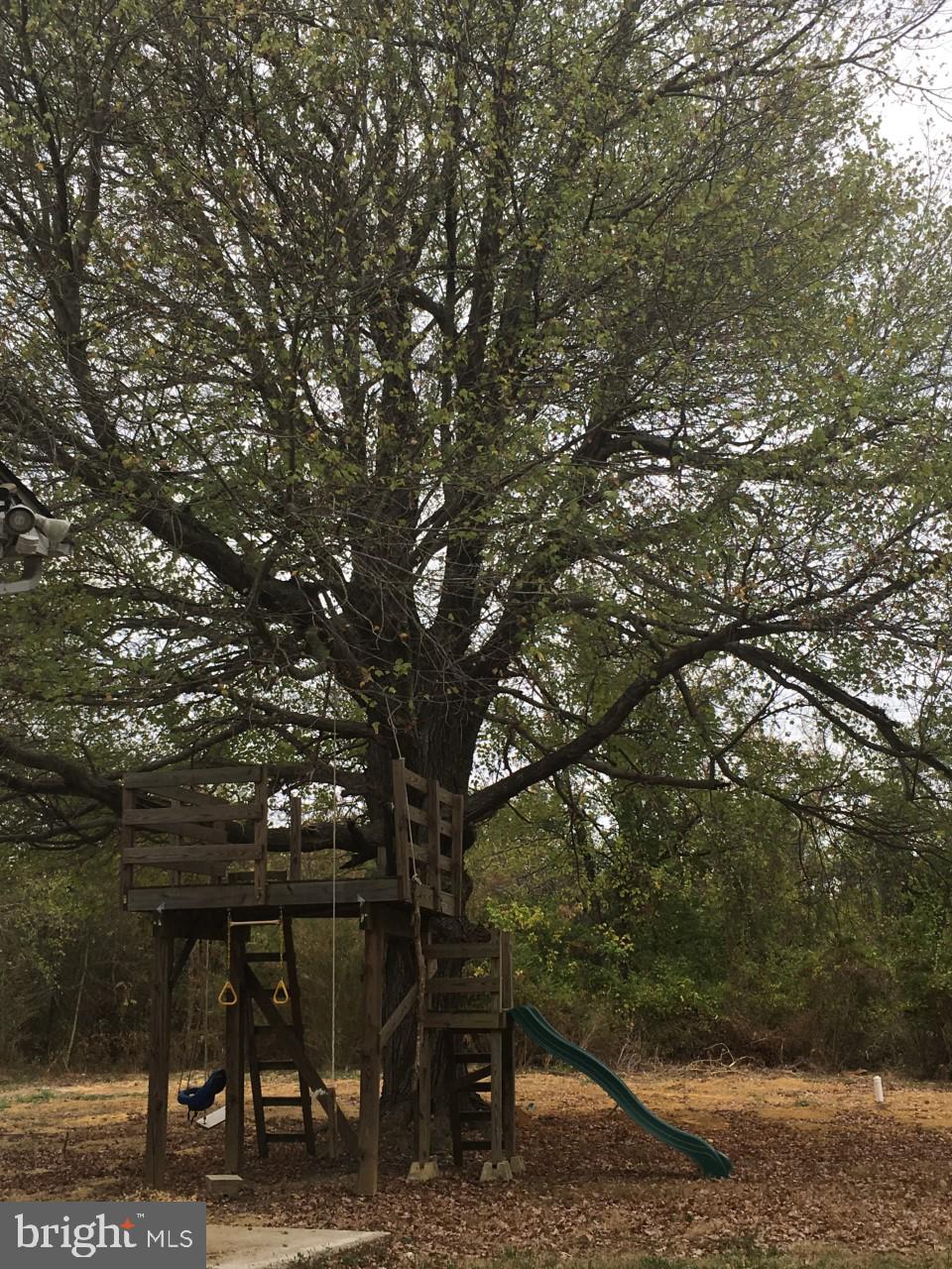 6106 Floral Park Road Brandywine, MD 20613 - Photo 15 of 16 Gallery Image 15