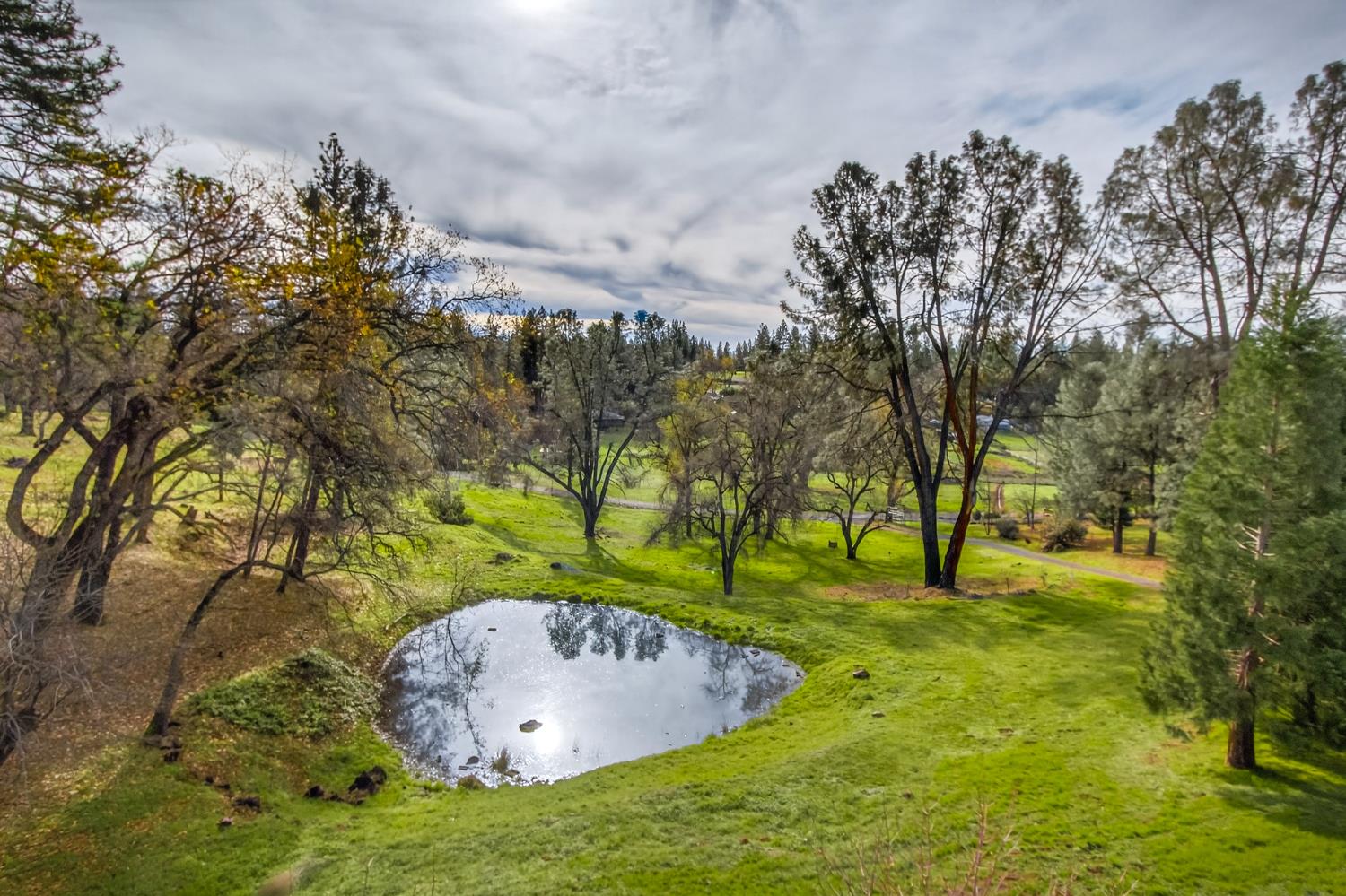 4661 Holm Road Placerville, CA 95667 - Photo 3 of 45 Serene views and seasonal pond
