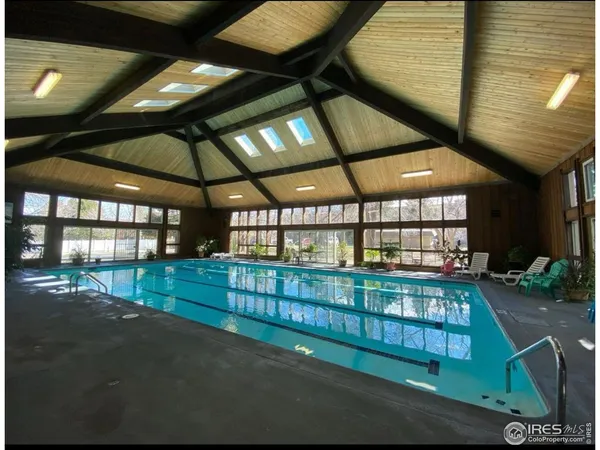 a view of a backyard with a large tree