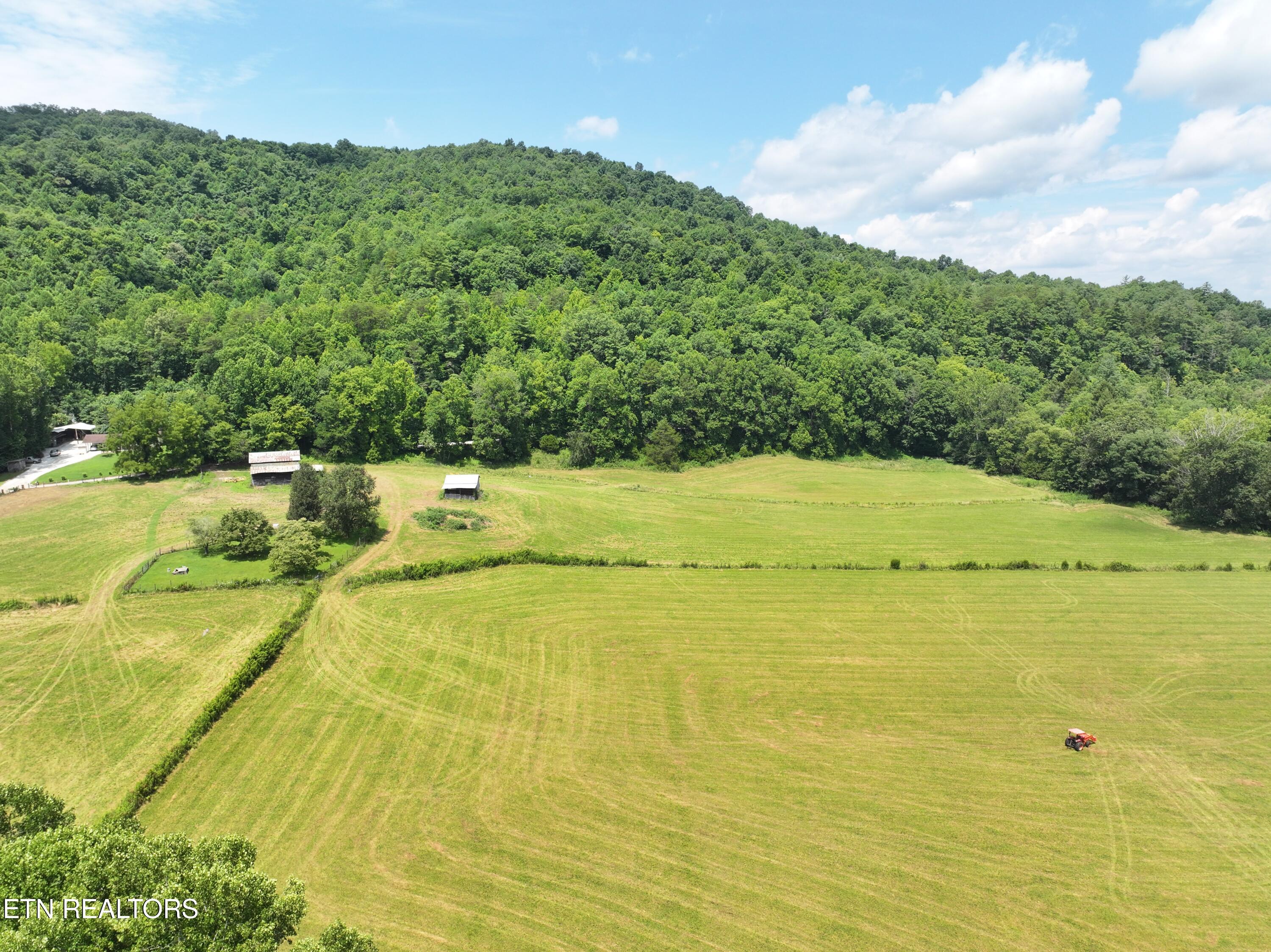 7914 Brimstone Road Robbins, TN 37852 - Photo 53 of 57 dji_fly_20260709_094220_0849_17836841046