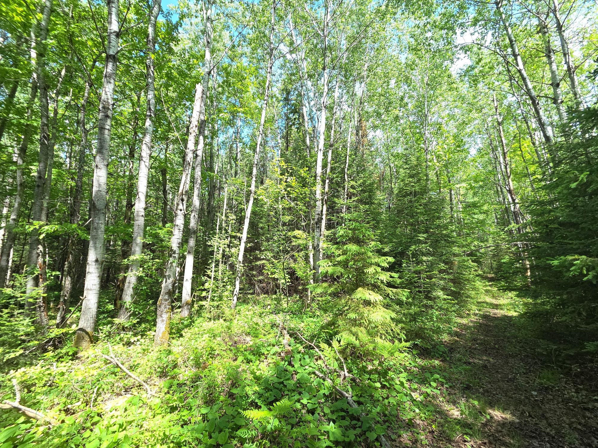 On East Solberg Lake Road, Unit LOT 9 Phillips, WI 54555 - Photo 3 of 5