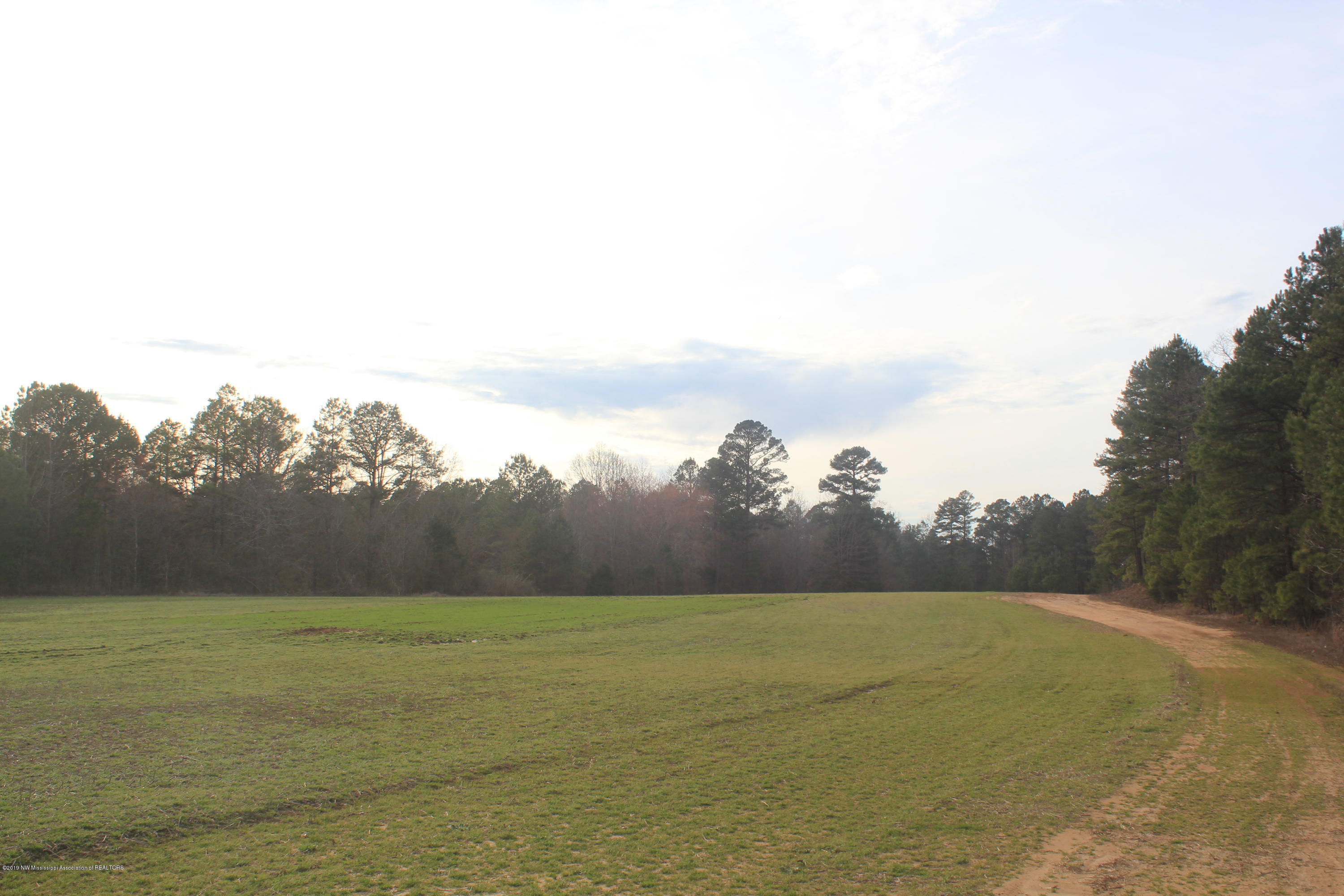 377 Jim Brown Road Potts Camp, MS 38659 - Photo 11 of 20 069