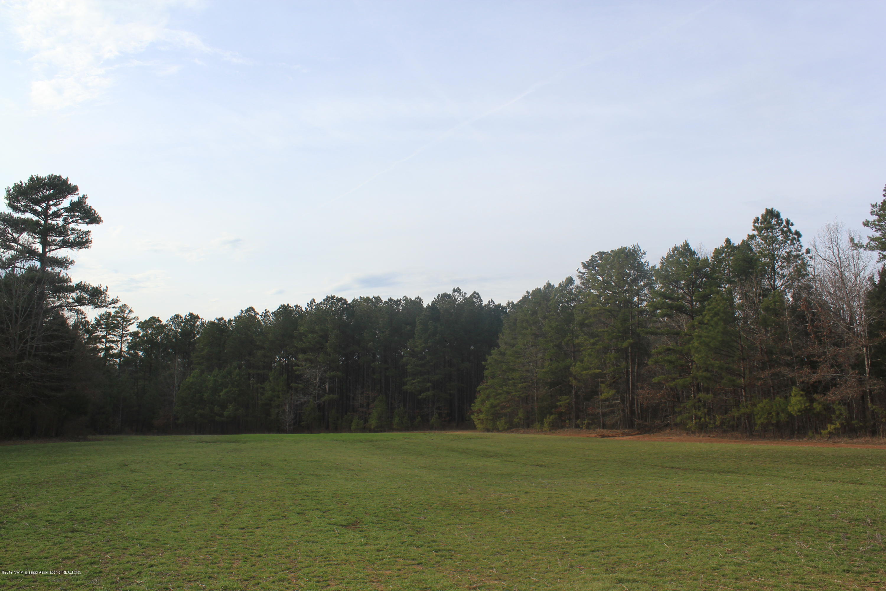 377 Jim Brown Road Potts Camp, MS 38659 - Photo 12 of 20 070