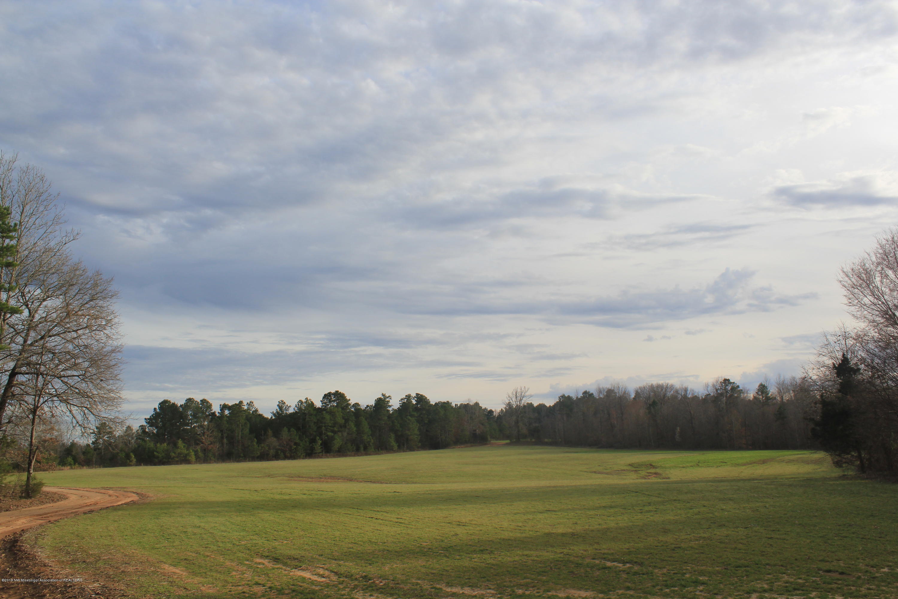 377 Jim Brown Road Potts Camp, MS 38659 - Photo 13 of 20 080