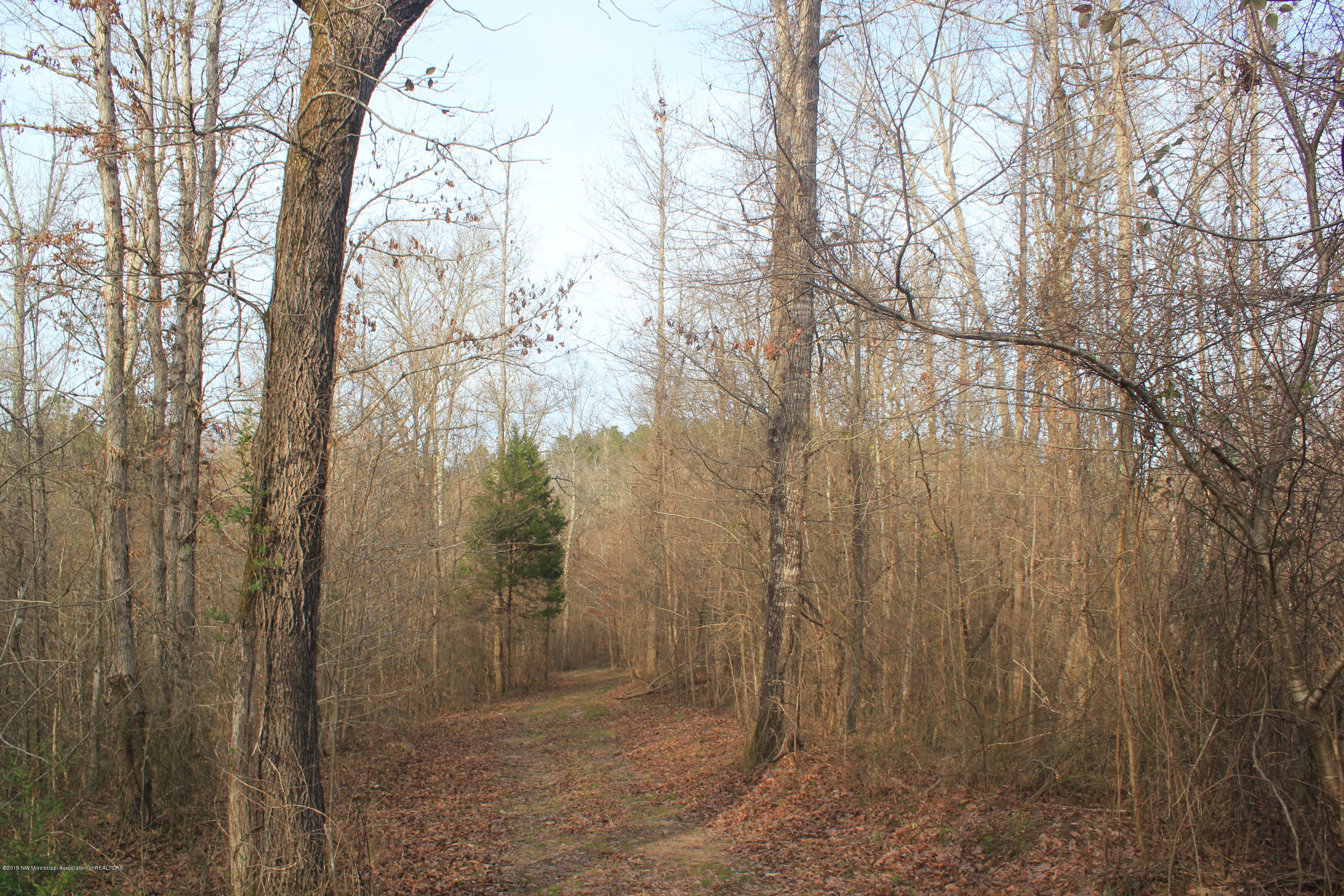 377 Jim Brown Road Potts Camp, MS 38659 - Photo 14 of 20 083