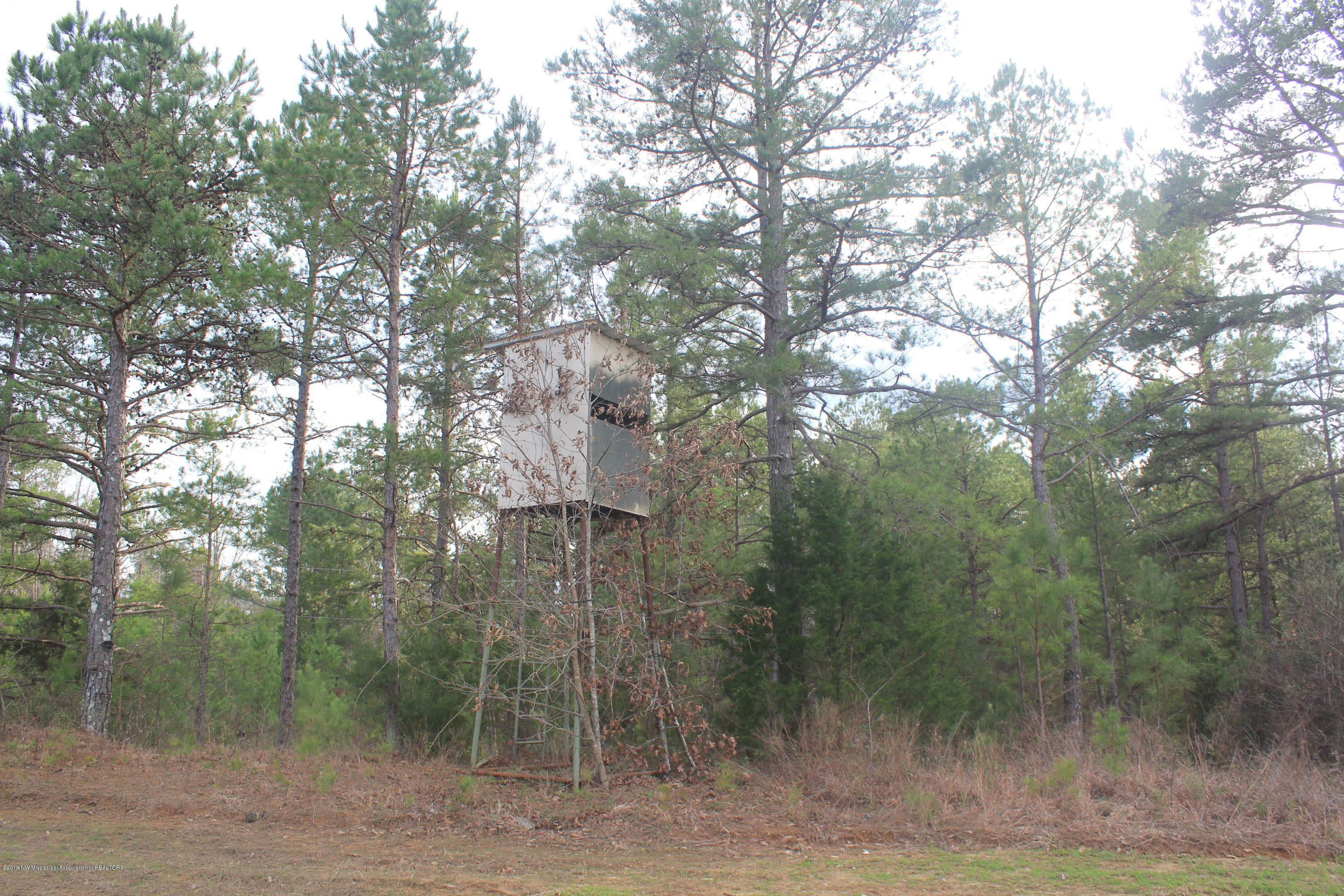 377 Jim Brown Road Potts Camp, MS 38659 - Photo 15 of 20 092