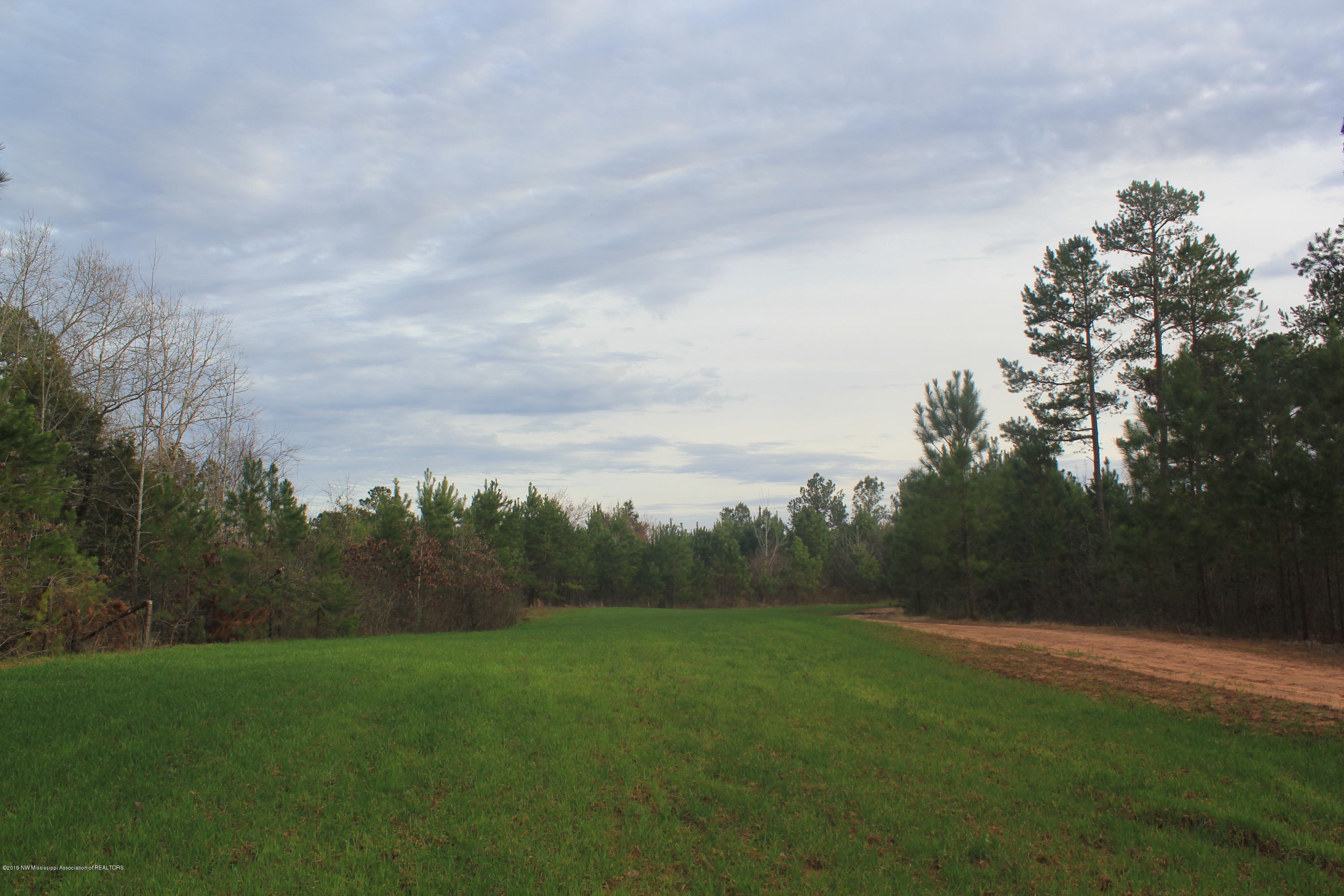 377 Jim Brown Road Potts Camp, MS 38659 - Photo 16 of 20 098