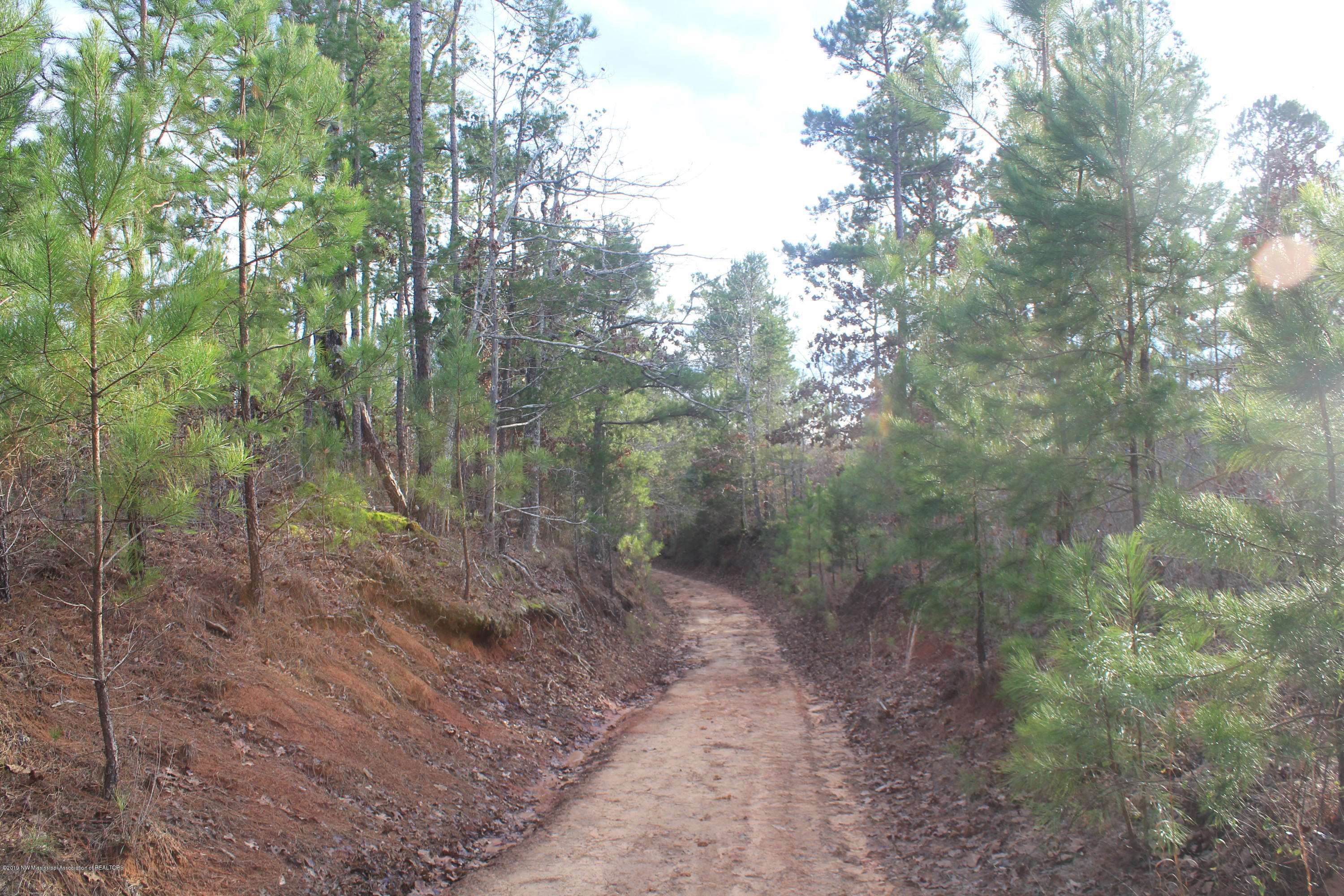 377 Jim Brown Road Potts Camp, MS 38659 - Photo 17 of 20 100