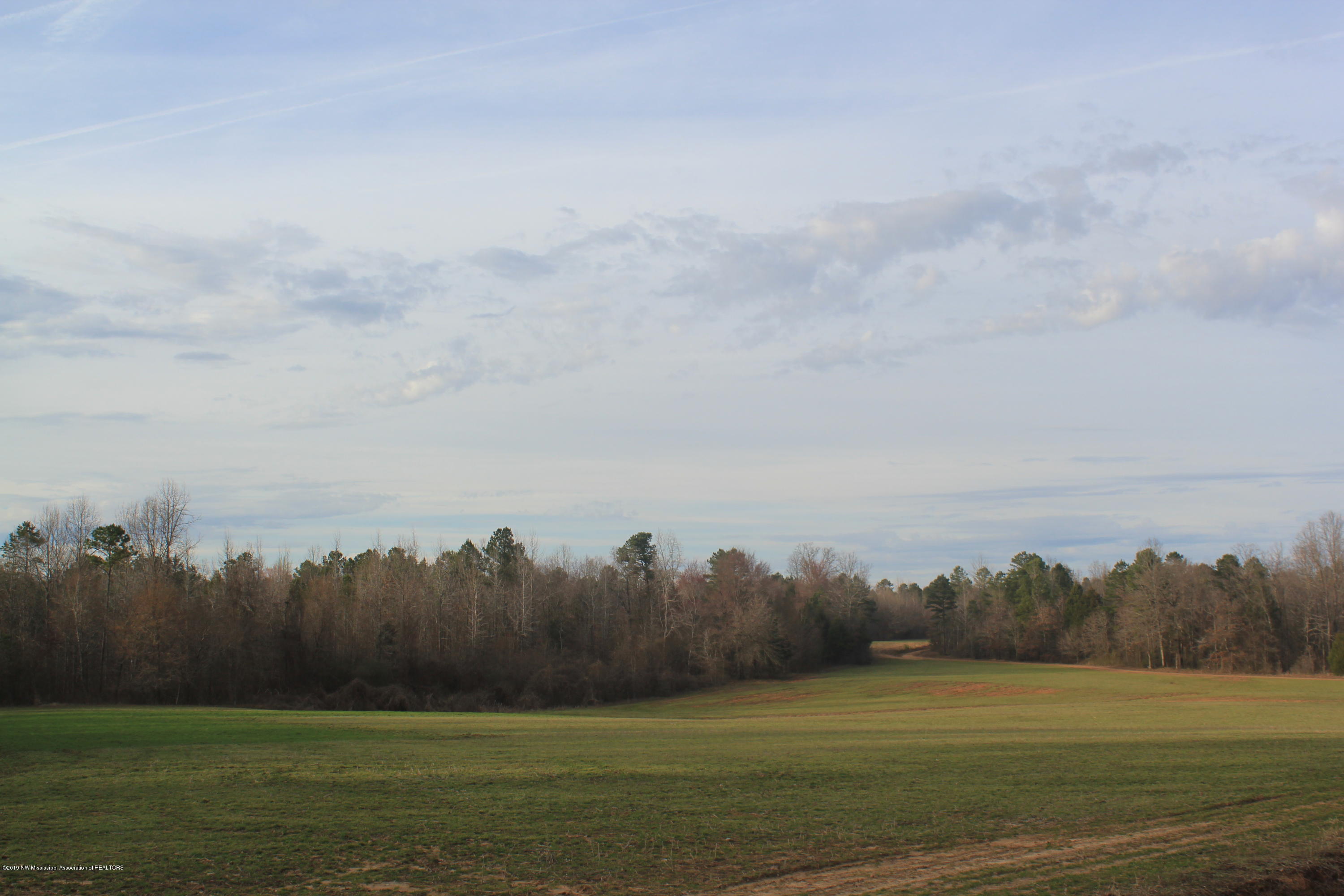 377 Jim Brown Road Potts Camp, MS 38659 - Photo 18 of 20 104