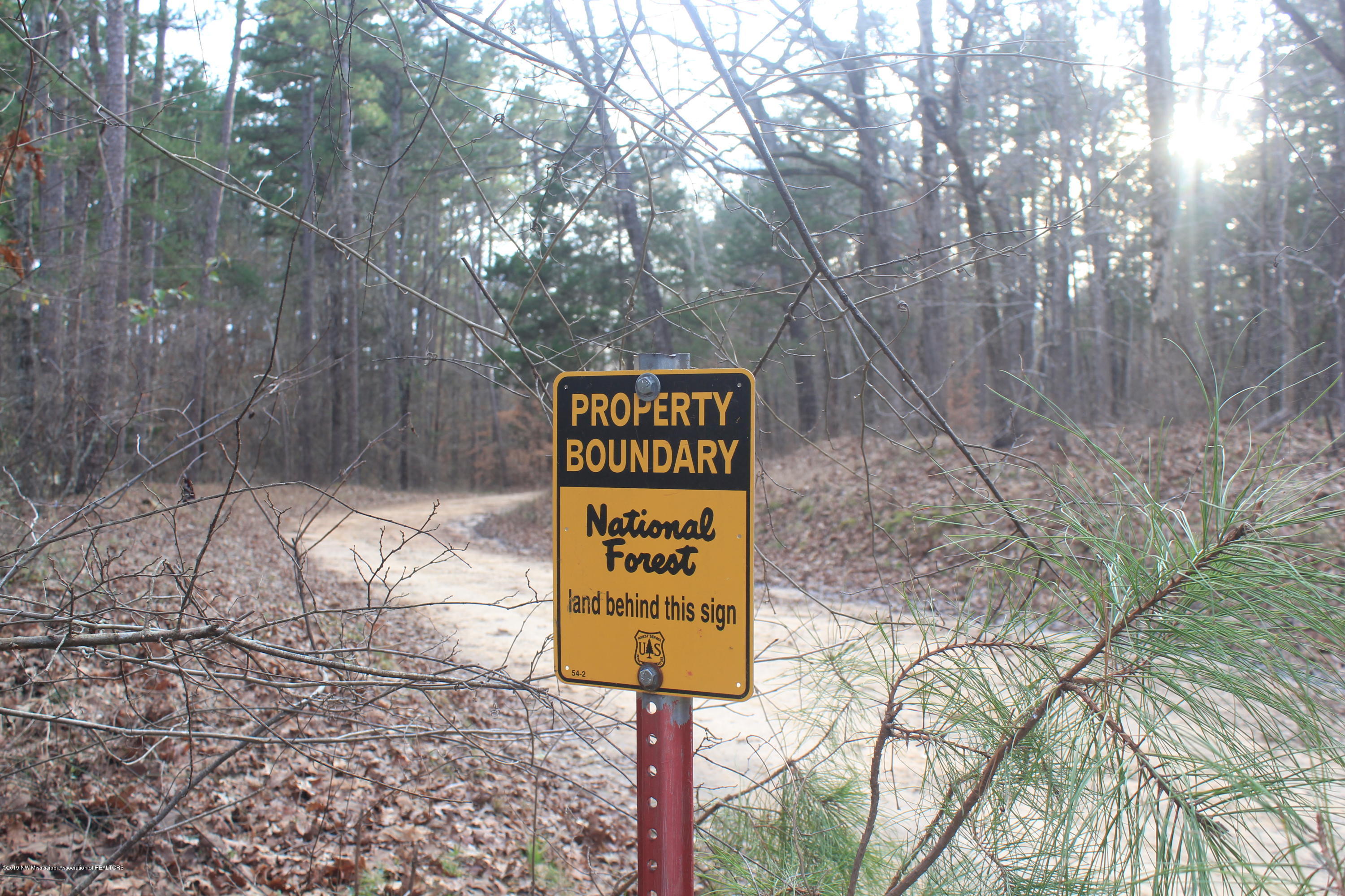 377 Jim Brown Road Potts Camp, MS 38659 - Photo 19 of 20 105