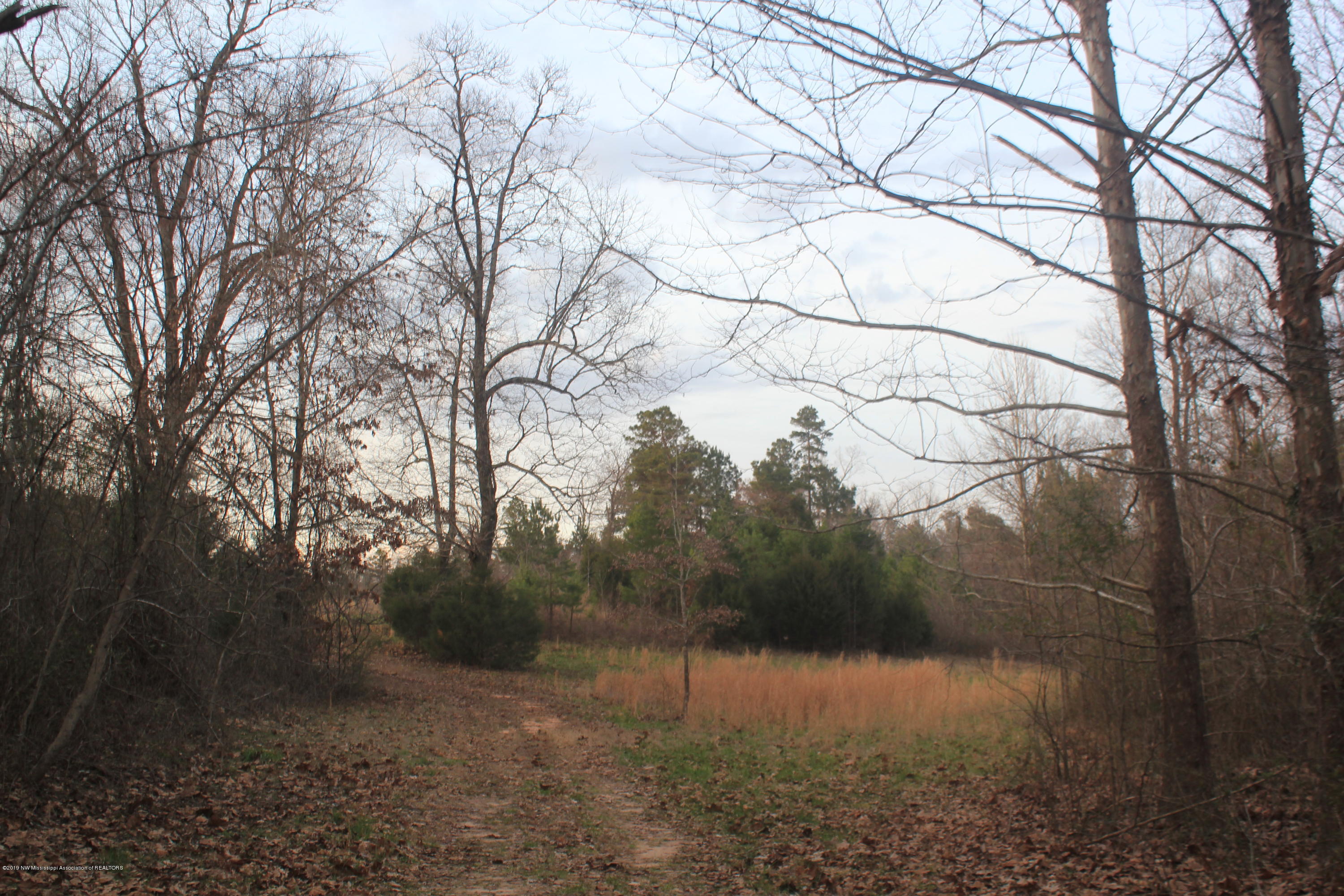377 Jim Brown Road Potts Camp, MS 38659 - Photo 20 of 20 116