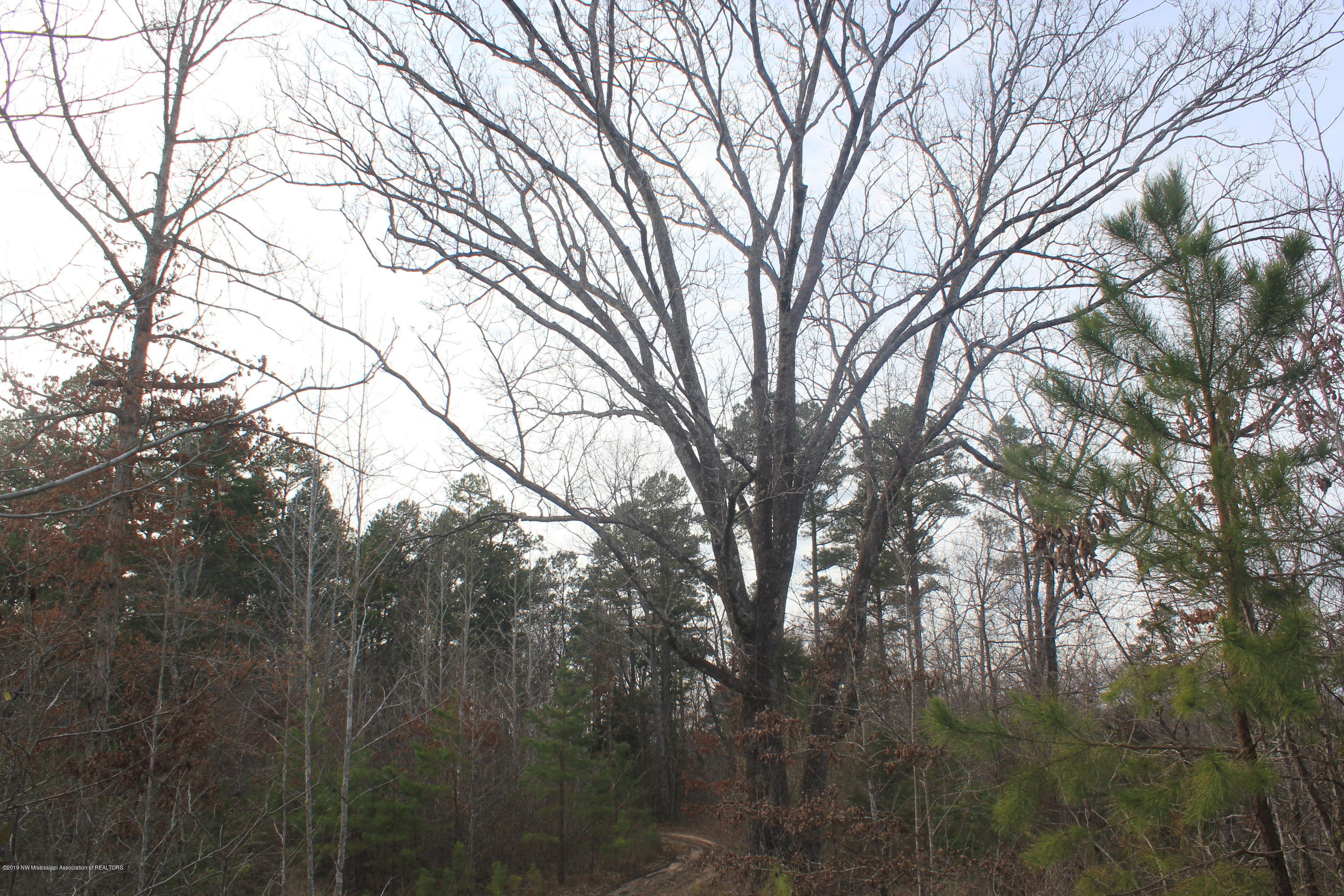 377 Jim Brown Road Potts Camp, MS 38659 - Photo 2 of 20 046
