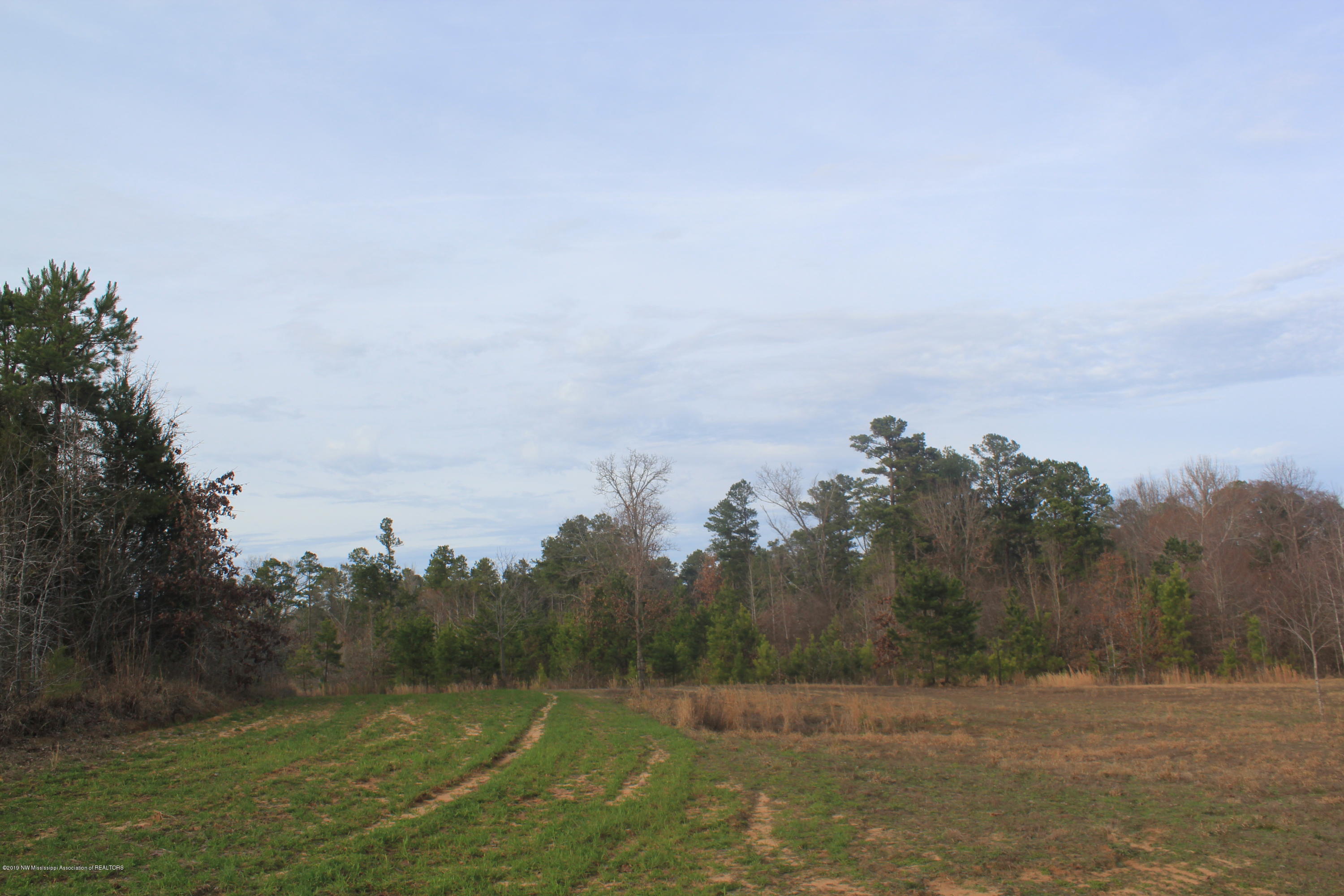 377 Jim Brown Road Potts Camp, MS 38659 - Photo 6 of 20 057