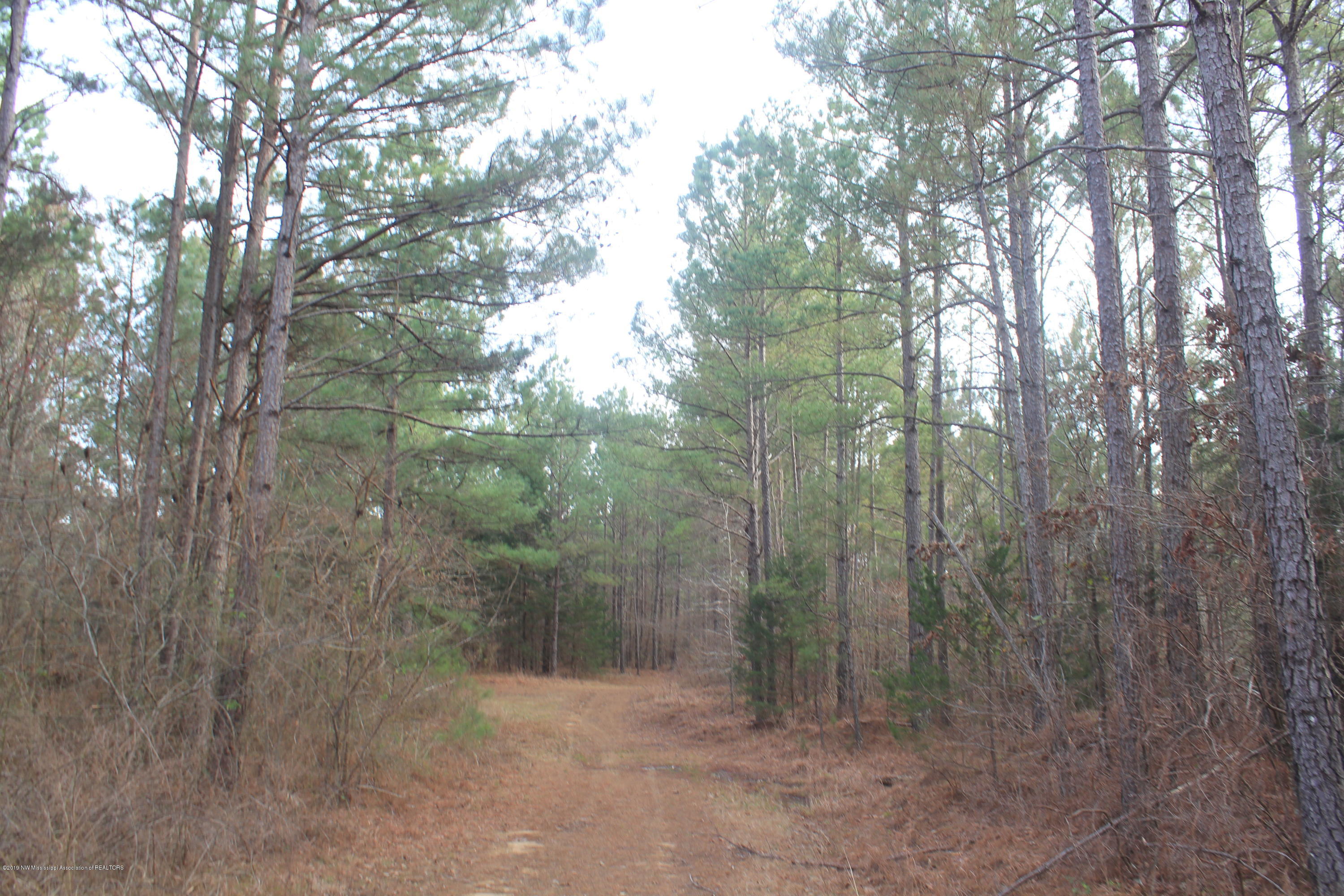 377 Jim Brown Road Potts Camp, MS 38659 - Photo 7 of 20 060