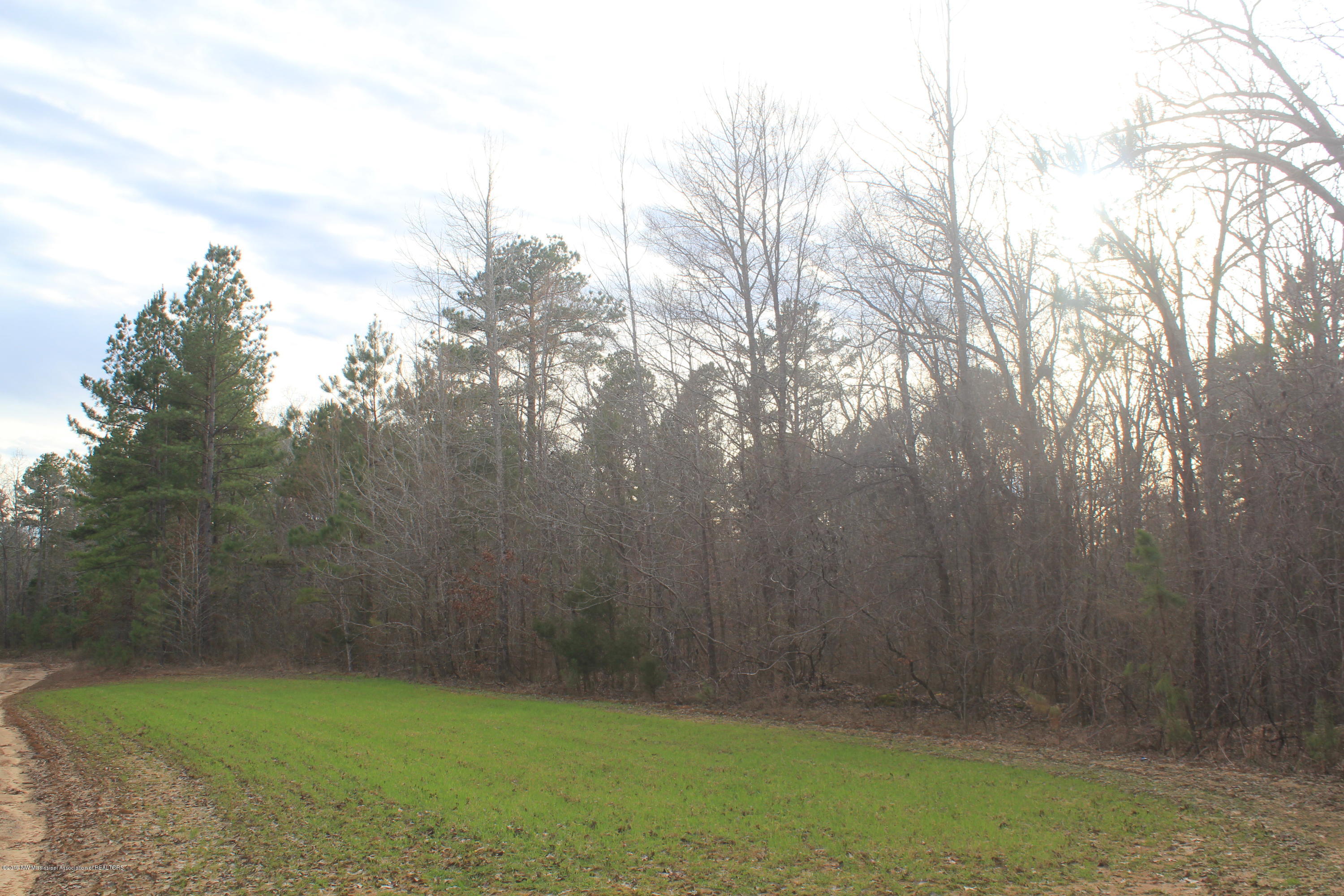 377 Jim Brown Road Potts Camp, MS 38659 - Photo 9 of 20 063