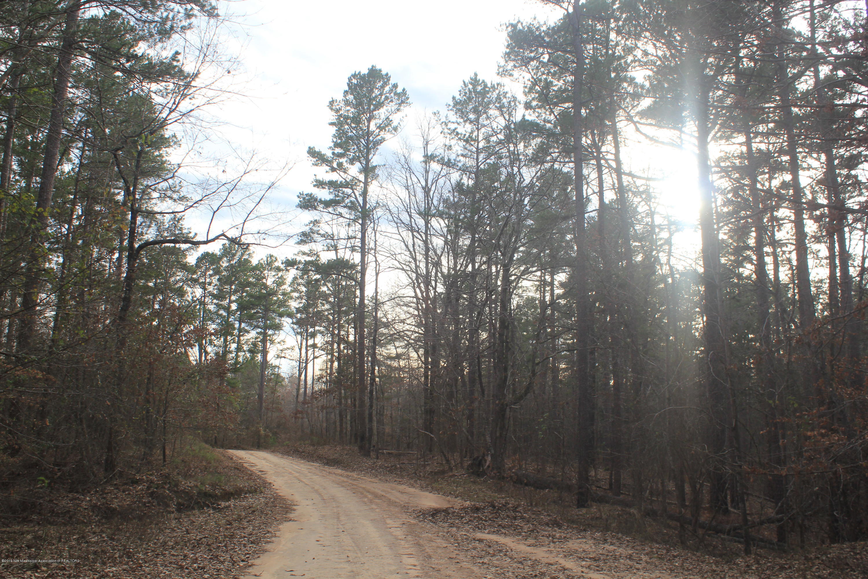 377 Jim Brown Road Potts Camp, MS 38659 - Photo 10 of 20 066