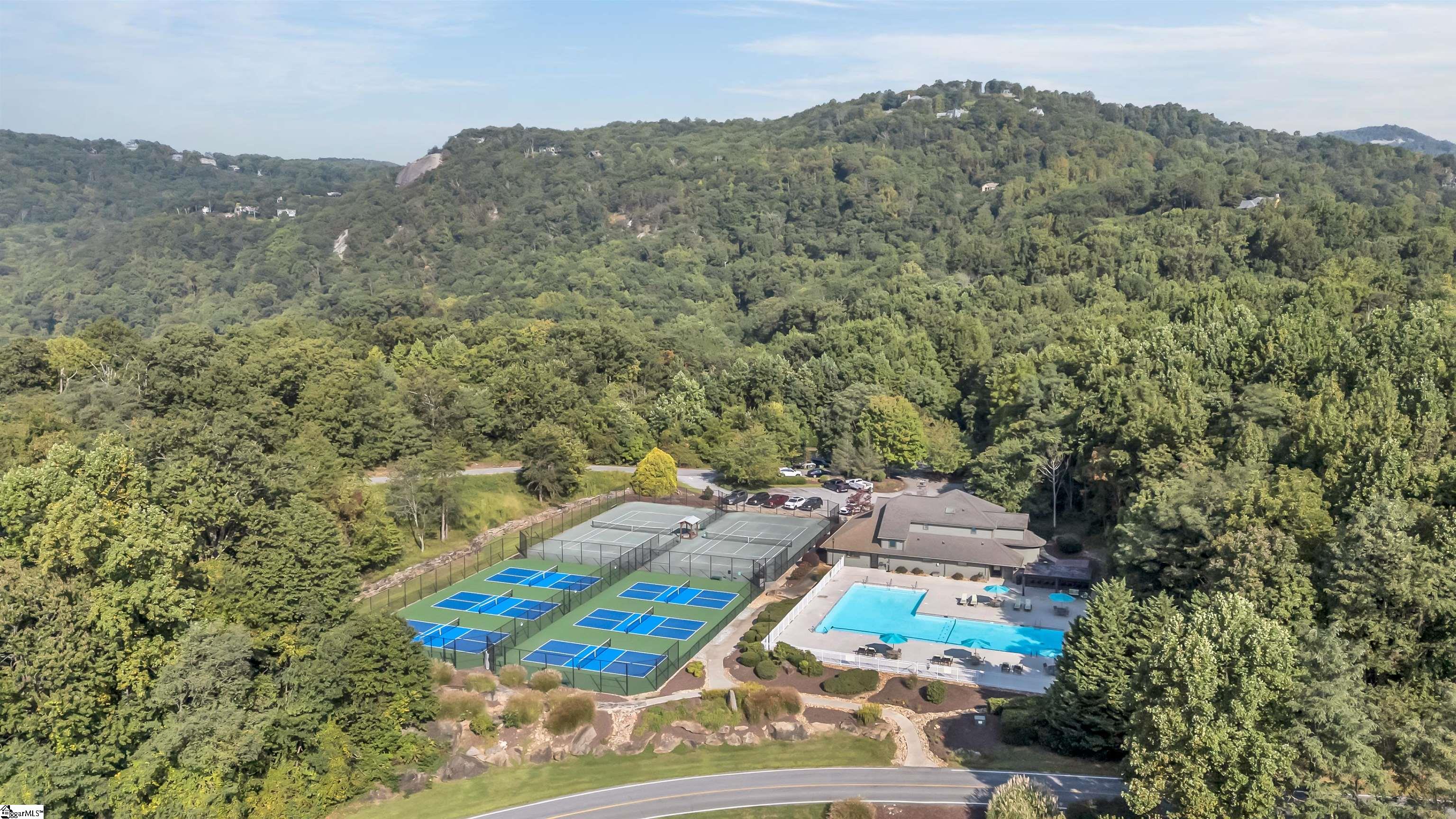 7 Goldeneye Court Landrum, SC 29356 - Photo 40 of 48