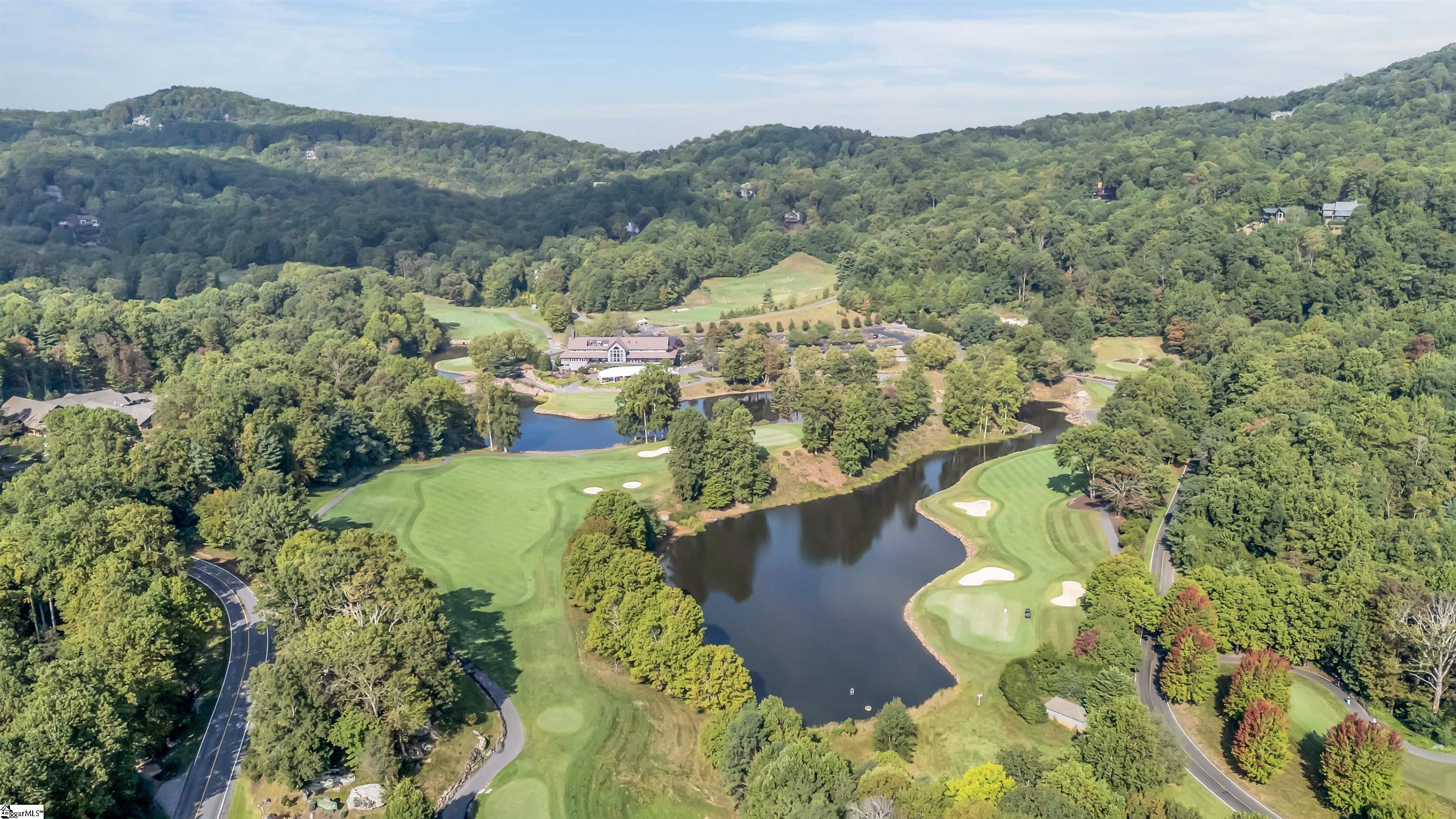 7 Goldeneye Court Landrum, SC 29356 - Photo 43 of 48