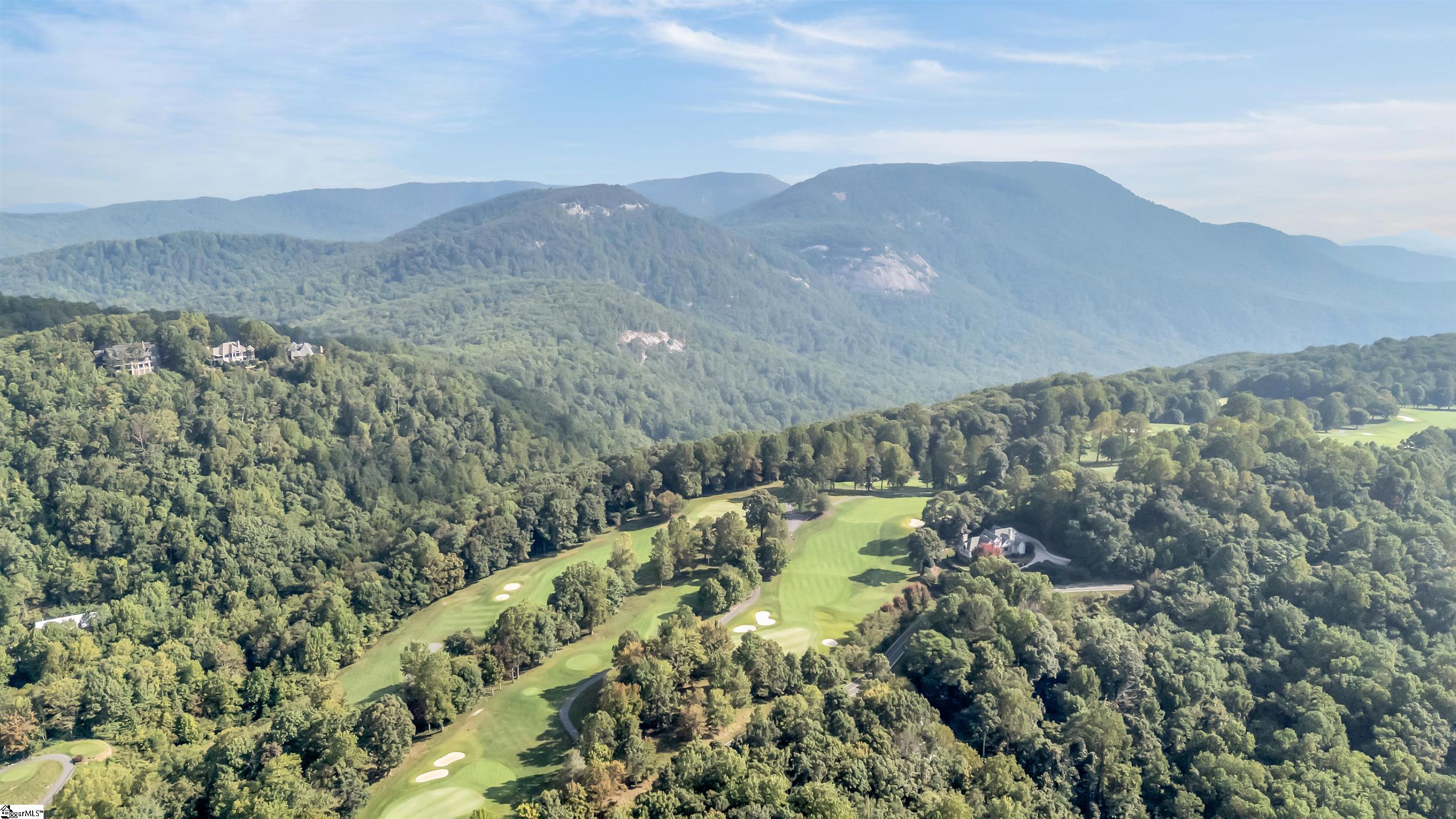 7 Goldeneye Court Landrum, SC 29356 - Photo 44 of 48