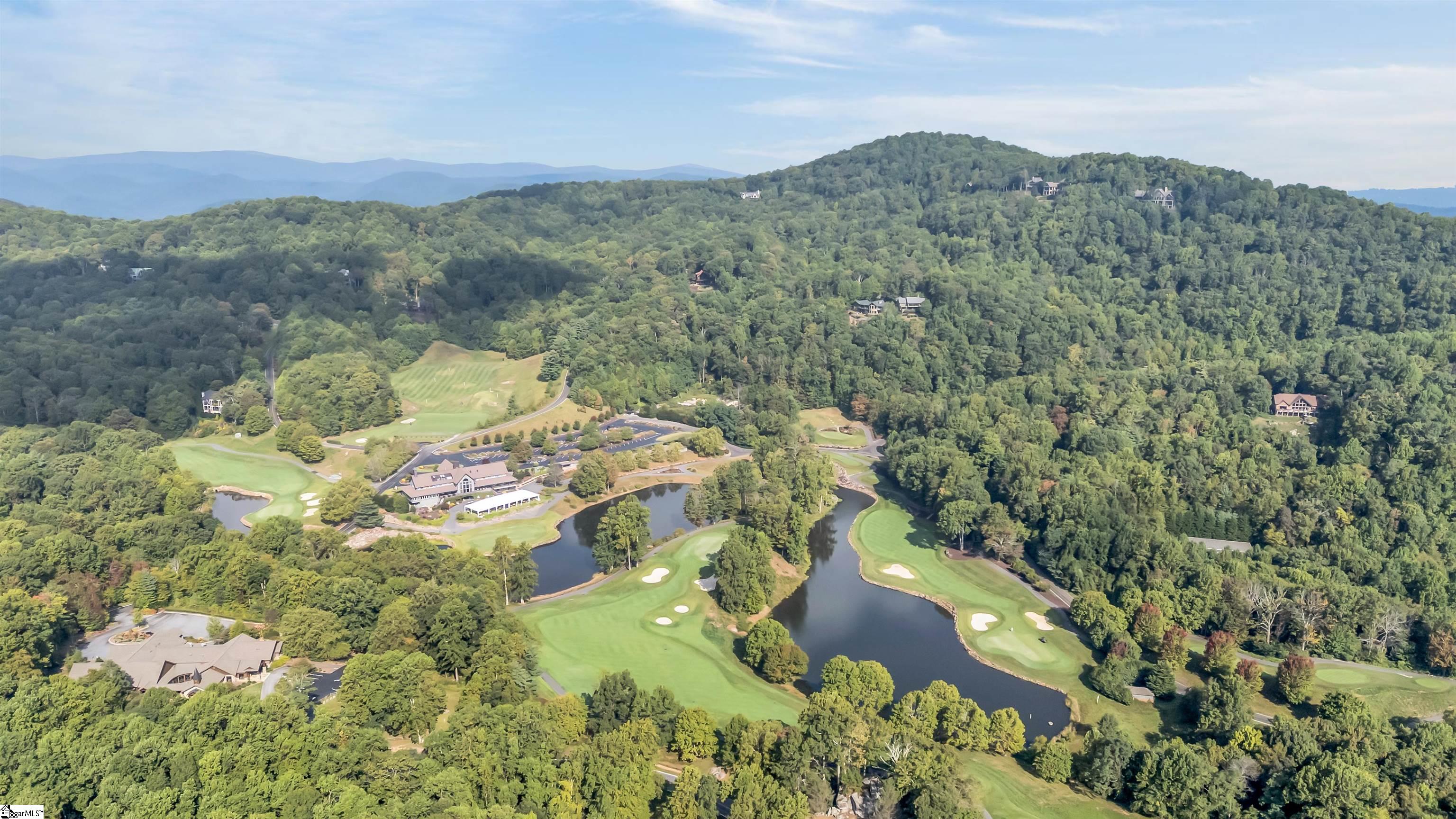 7 Goldeneye Court Landrum, SC 29356 - Photo 45 of 48