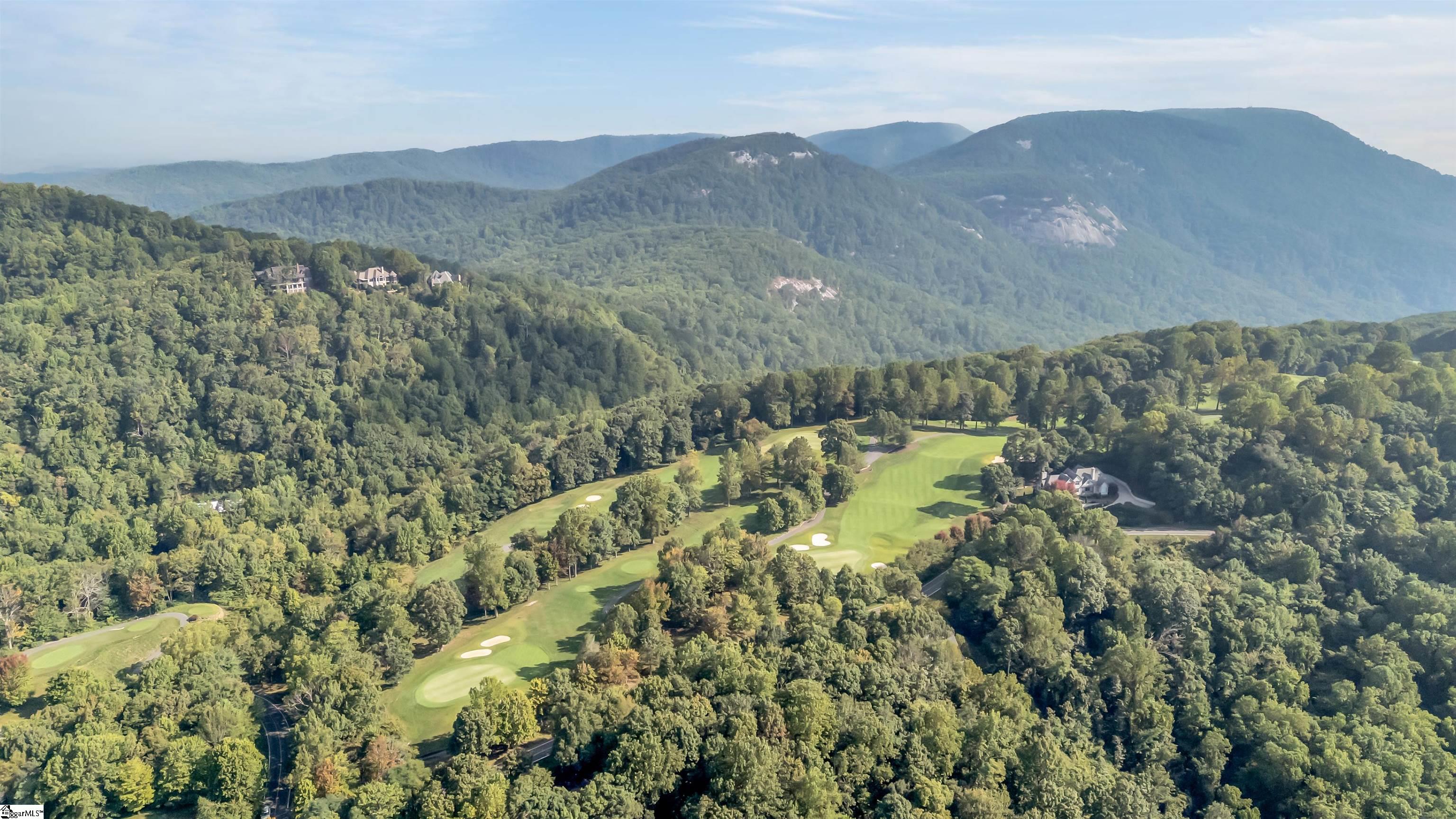 7 Goldeneye Court Landrum, SC 29356 - Photo 46 of 48