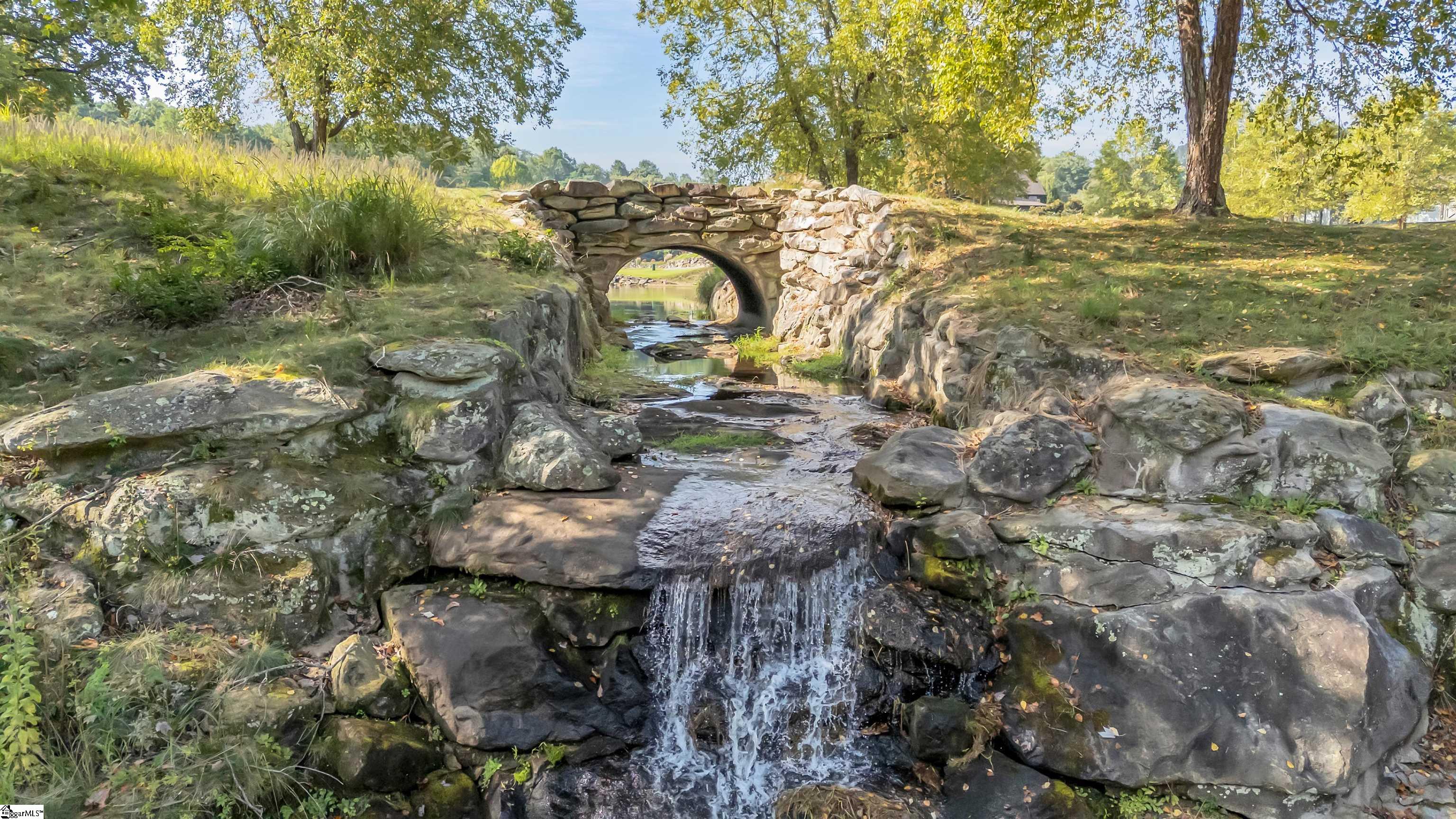 7 Goldeneye Court Landrum, SC 29356 - Photo 47 of 48