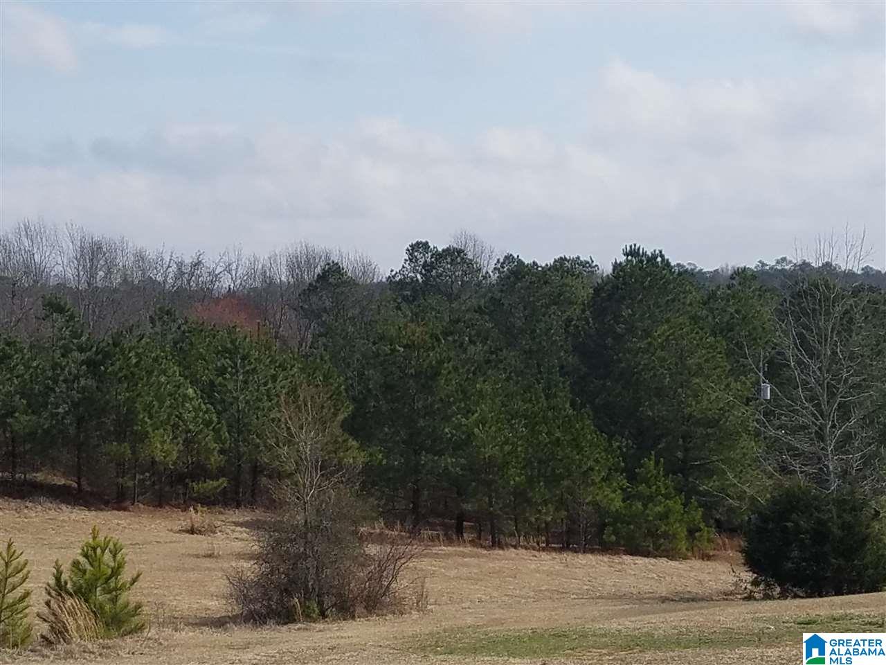 123 Kathy Lane Remlap, AL 35133 - Photo 3 of 25