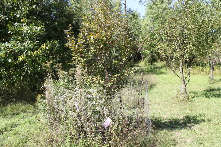 12150 Lone Tree Road Milford, MI 48380 - Photo 2 of 25