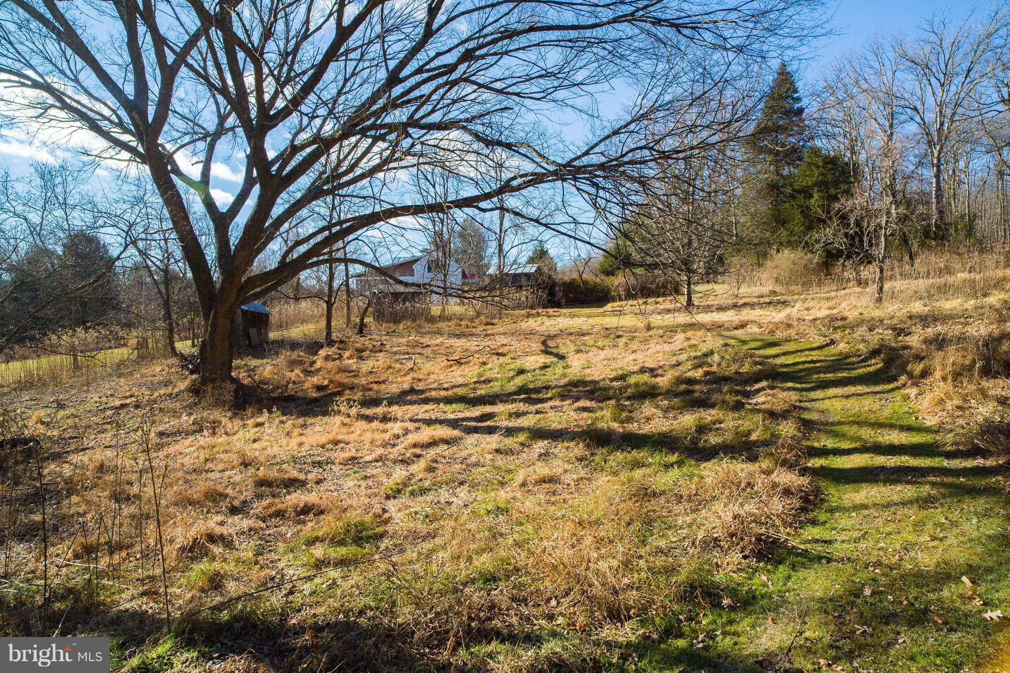 1381 Feltner Road Bluemont, VA 20135 - Photo 12 of 12 View