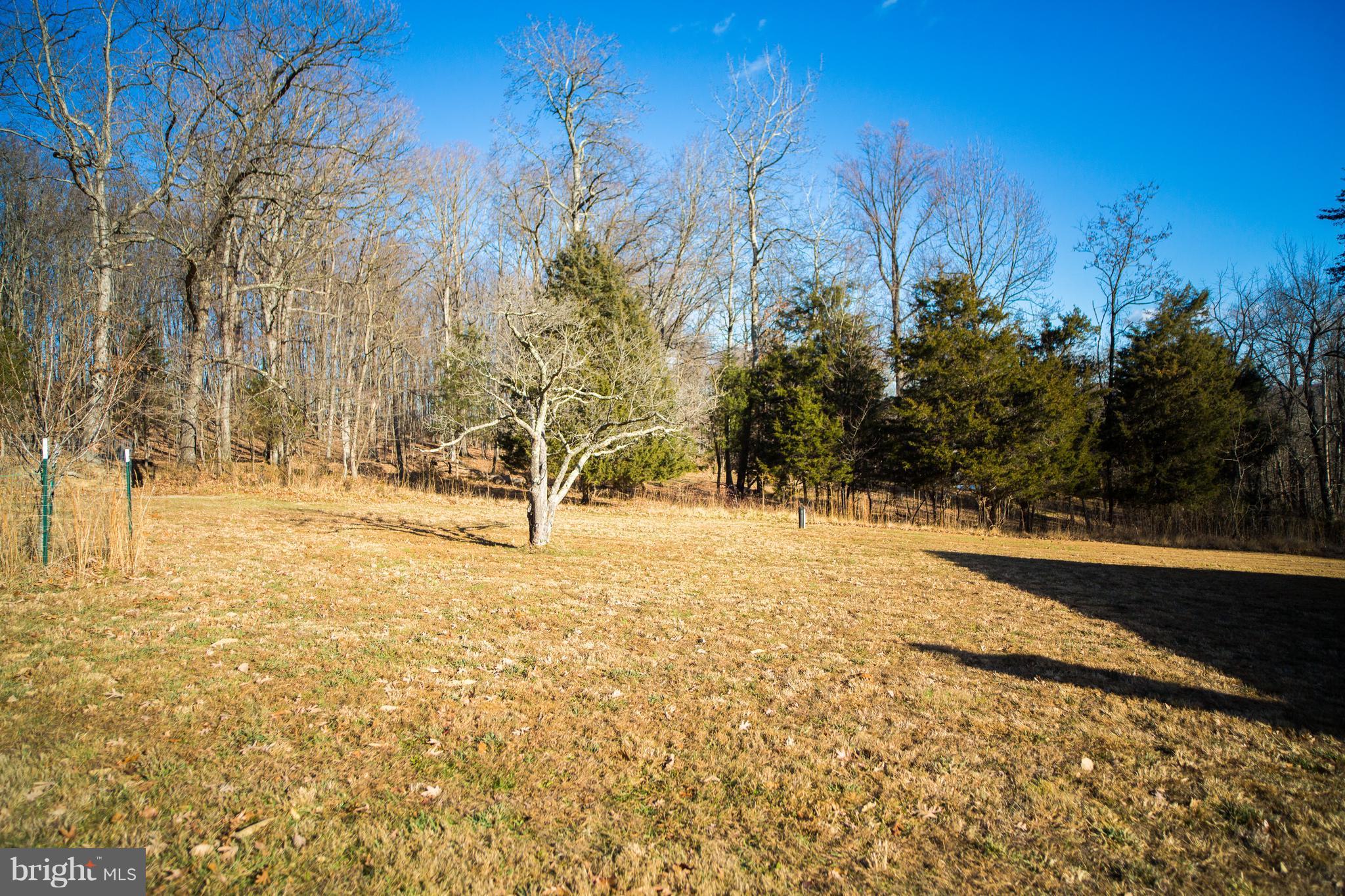 1381 Feltner Road Bluemont, VA 20135 - Photo 3 of 12 Exterior (General)