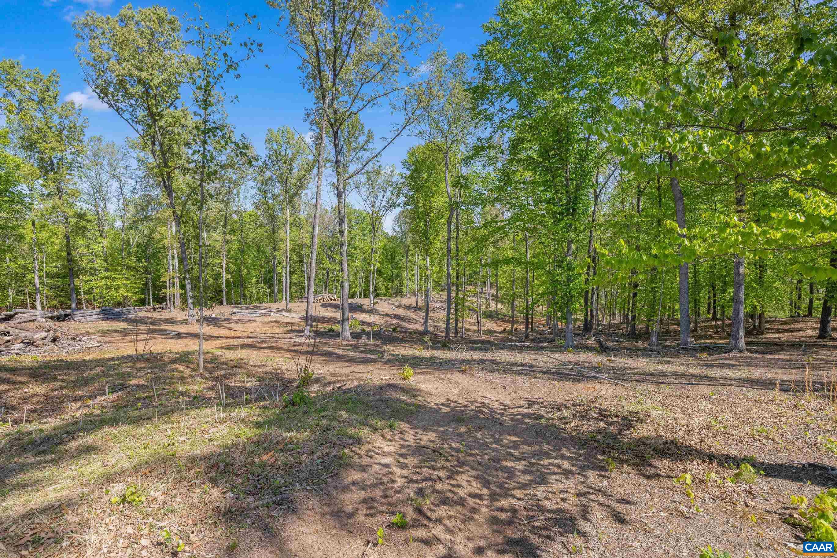 2947 Merrie Meadows Lane Keswick, VA 22947 - Photo 19 of 75 a view of a yard with tree s