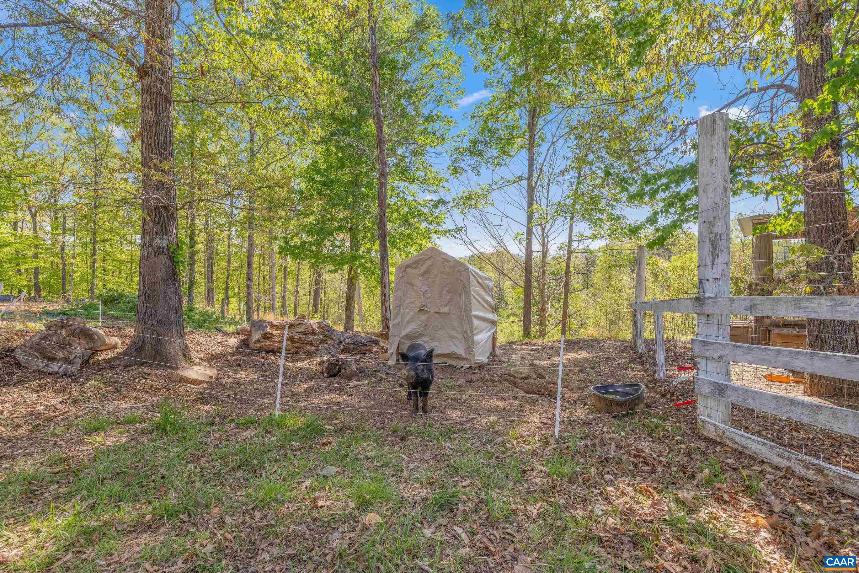 2947 Merrie Meadows Lane Keswick, VA 22947 - Photo 20 of 75 a backyard of a house with outdoor seating