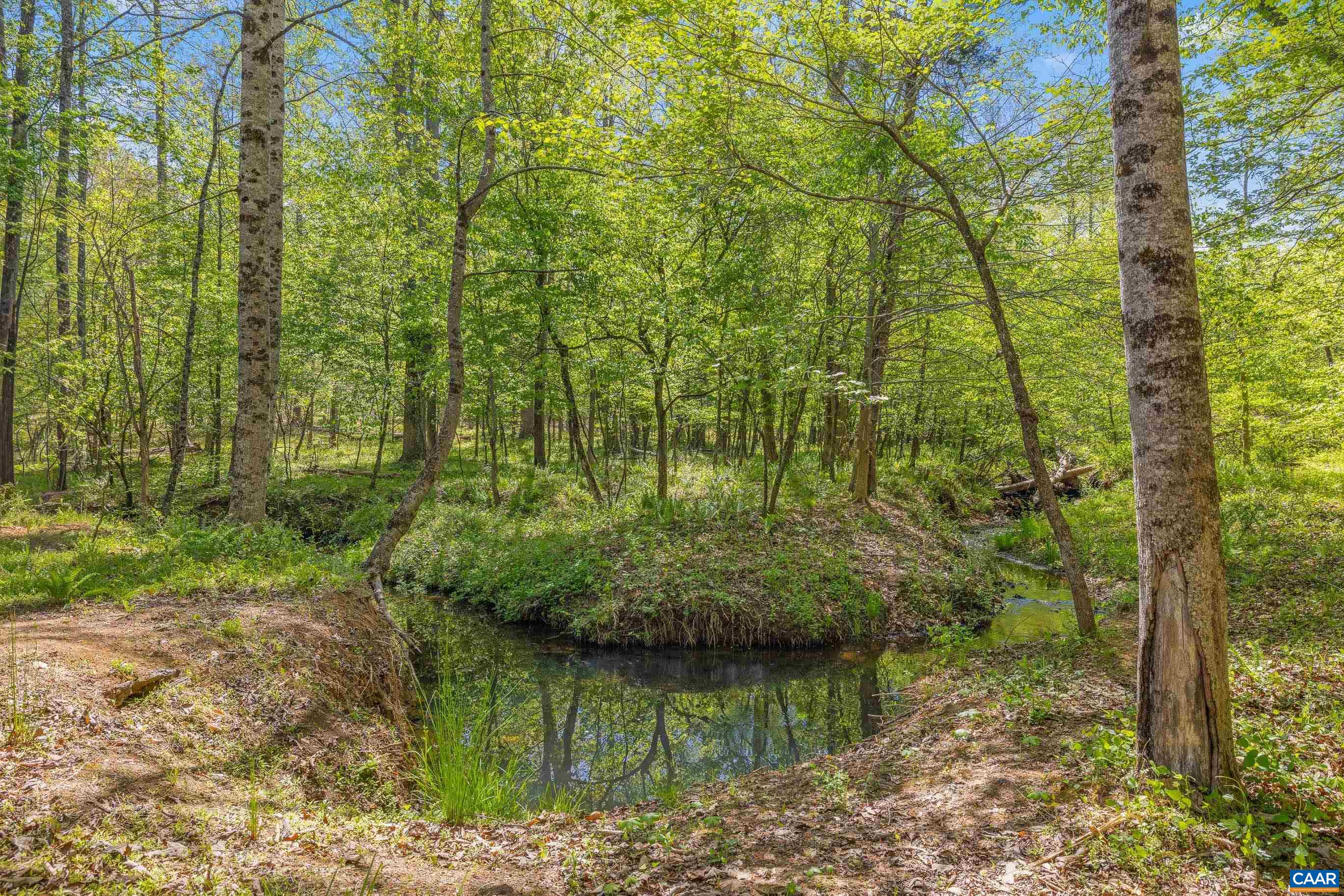 2947 Merrie Meadows Lane Keswick, VA 22947 - Photo 23 of 75
