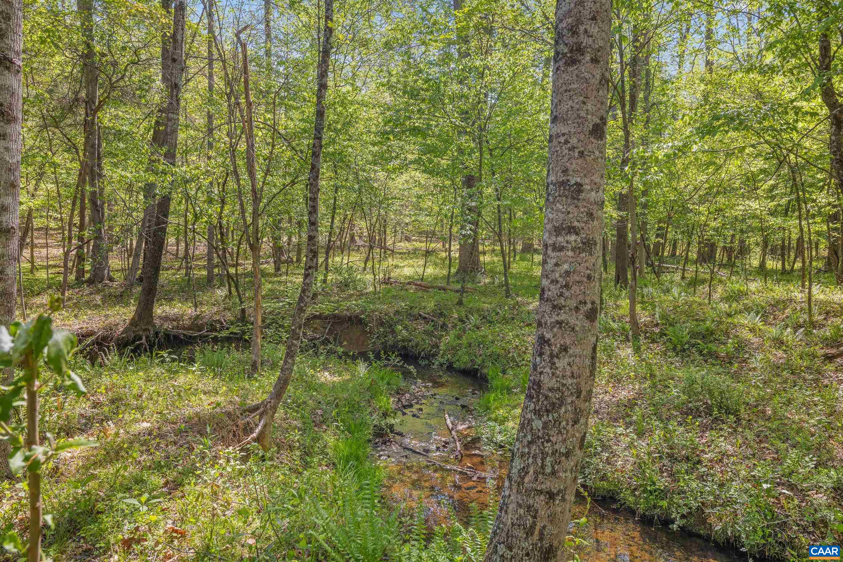 2947 Merrie Meadows Lane Keswick, VA 22947 - Photo 24 of 75