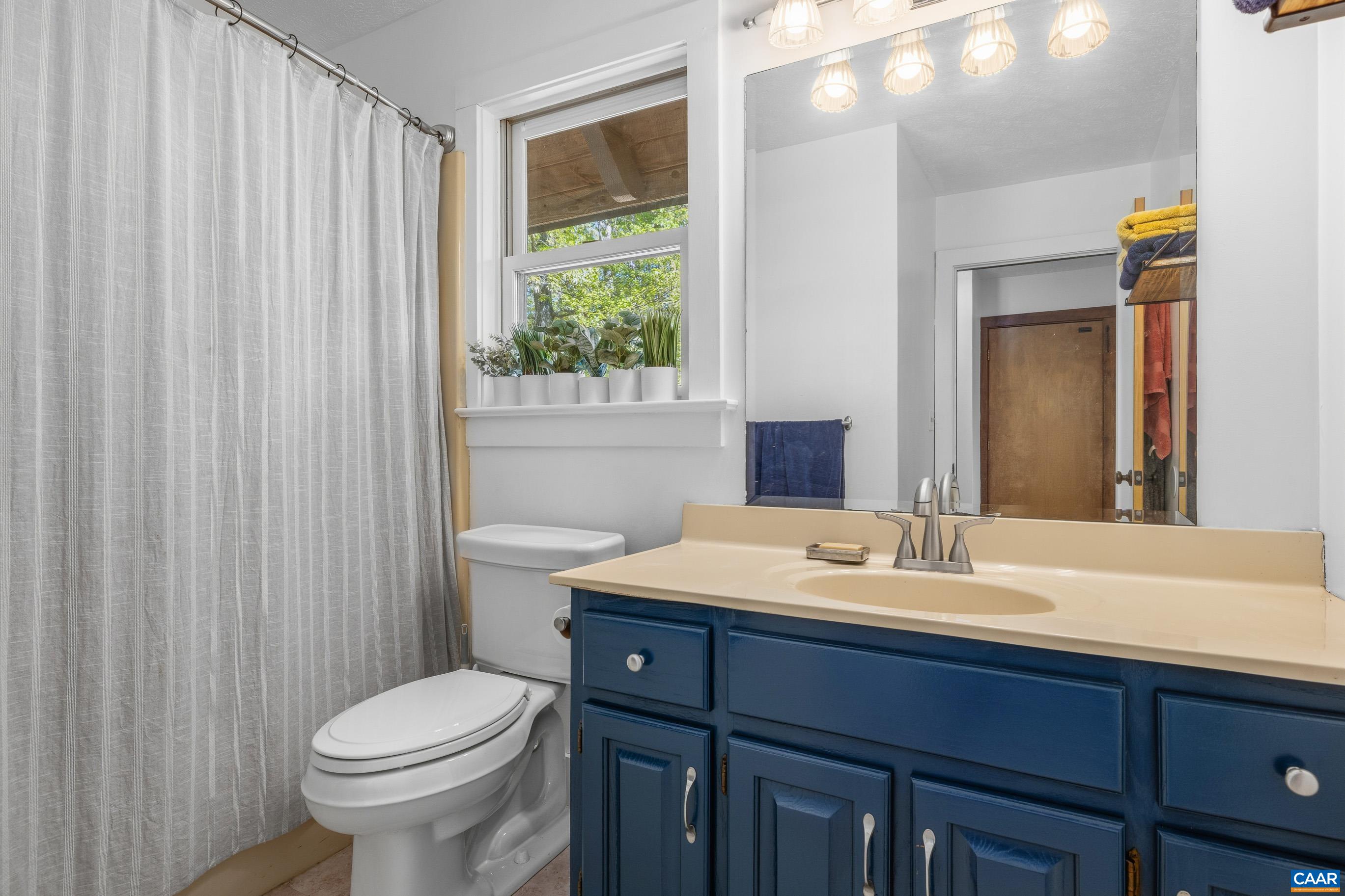 2947 Merrie Meadows Lane Keswick, VA 22947 - Photo 43 of 75 a bathroom with a sink a toilet and a mirror
