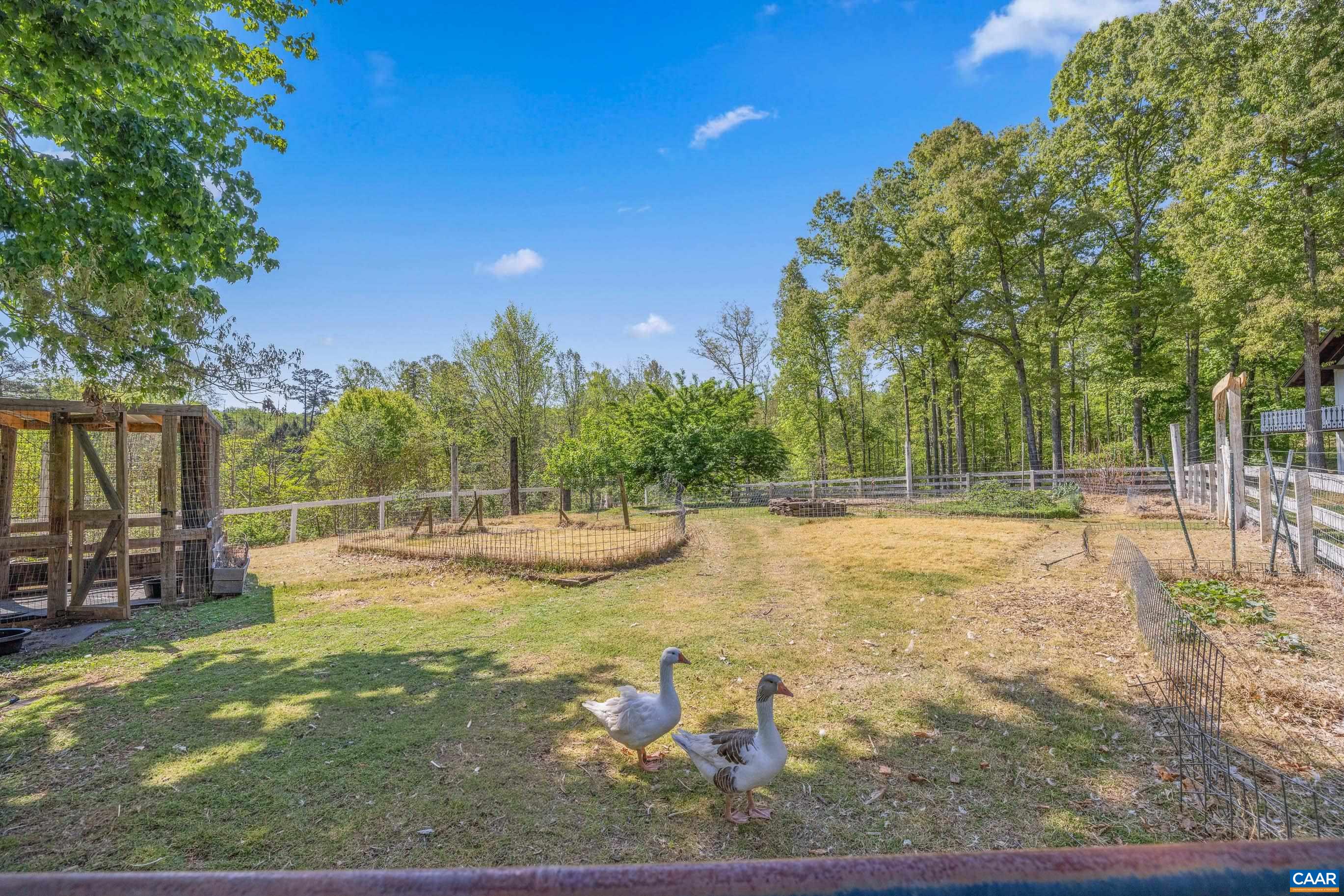 2947 Merrie Meadows Lane Keswick, VA 22947 - Photo 5 of 75 a view of a swimming pool with an outdoor space