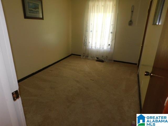 5024 Snowville Brent Road Dora, AL 35062 - Photo 6 of 11