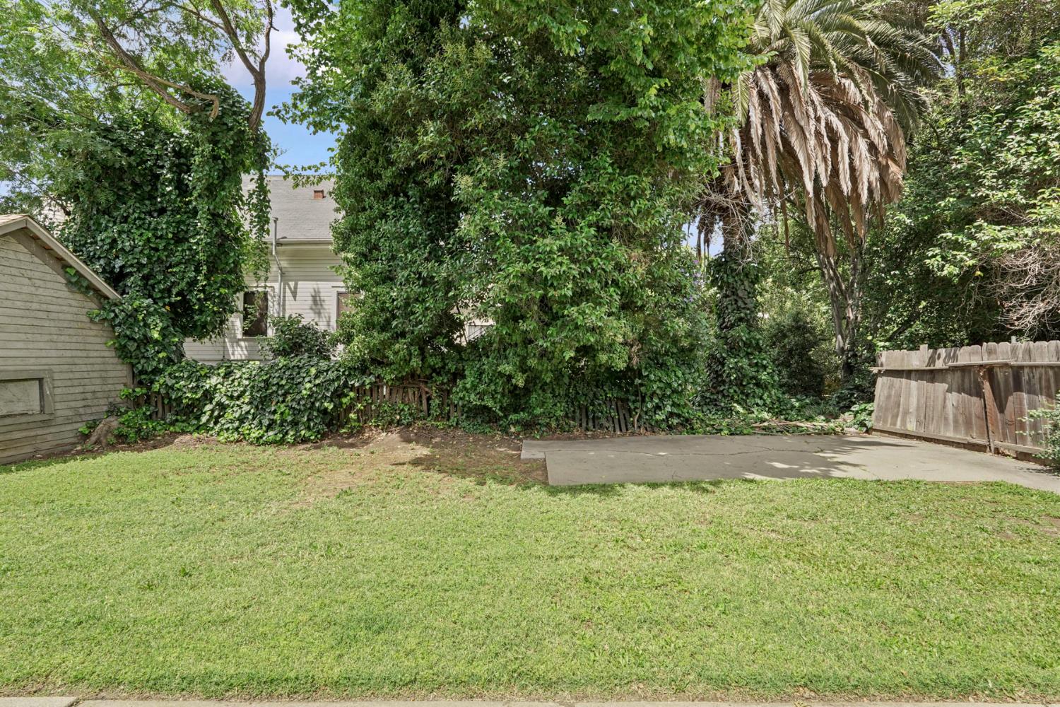 409 East Rose Street Stockton, CA 95202 - Photo 30 of 35 a view of a backyard with plants and large trees