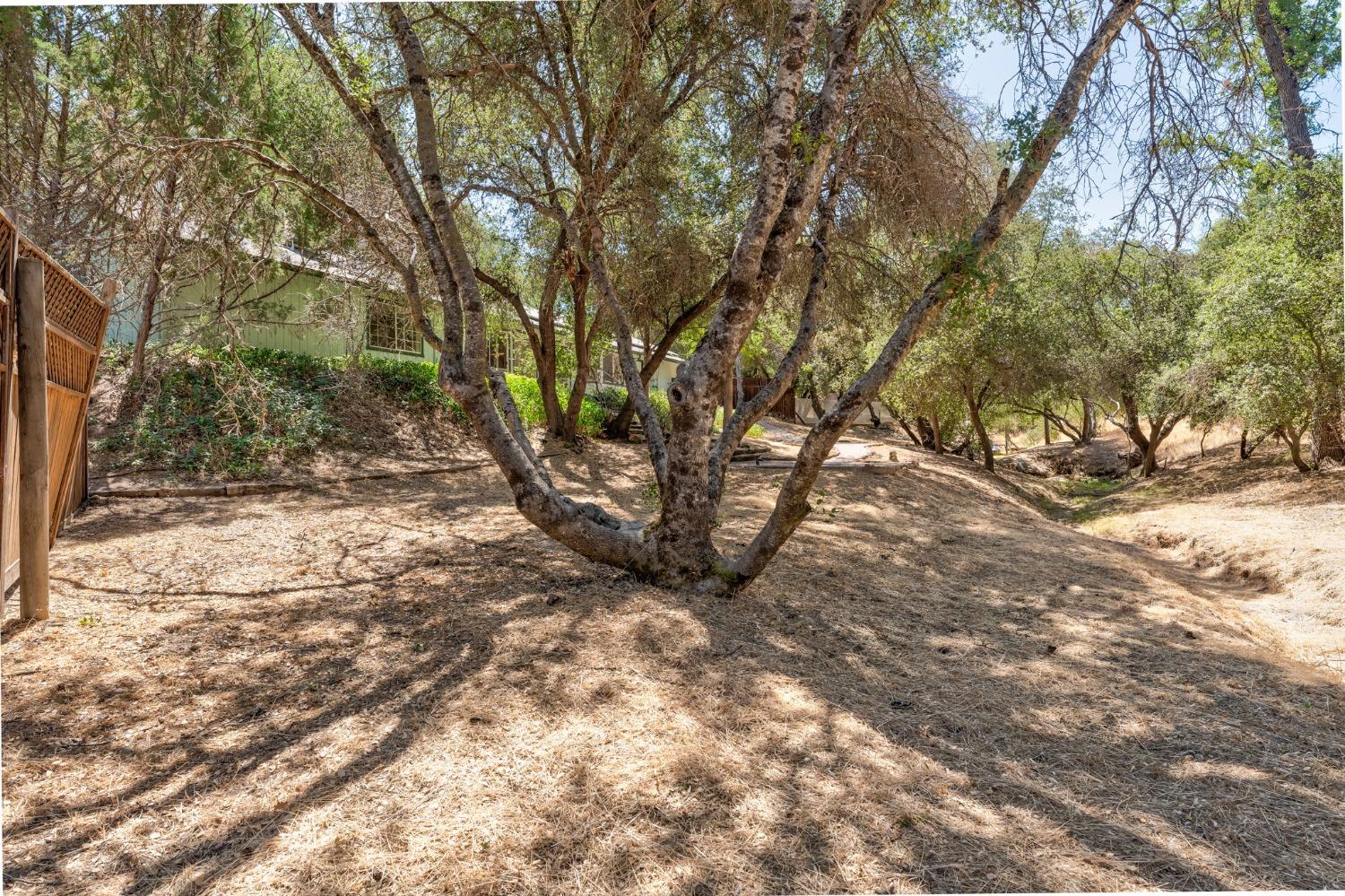 31516 Cherokee Road Coarsegold, CA 93614 - Photo 41 of 45 Gallery Image 41