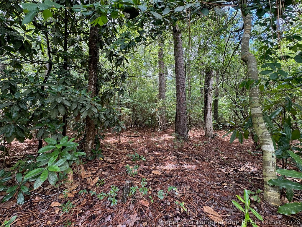 Tbd Myra Road Raeford, NC 28376 - Photo 15 of 23 Lot interior