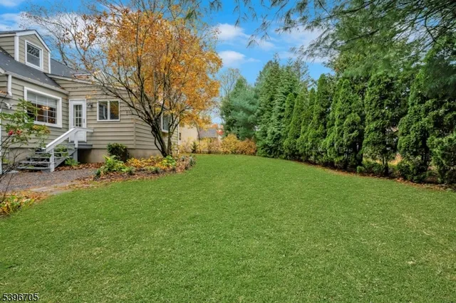 a view of a yard with plants and trees