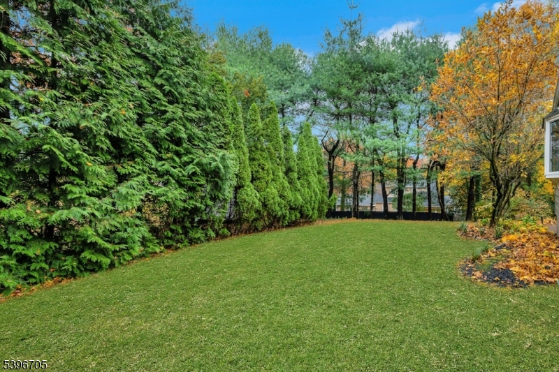 3 Maple Way Mountain Lakes, NJ 07046 - Photo 22 of 28 a view of a garden with a tree