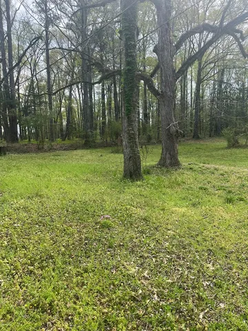 $45,000 | 1433 Sam McNeil Lane, Gloster, MS 39638